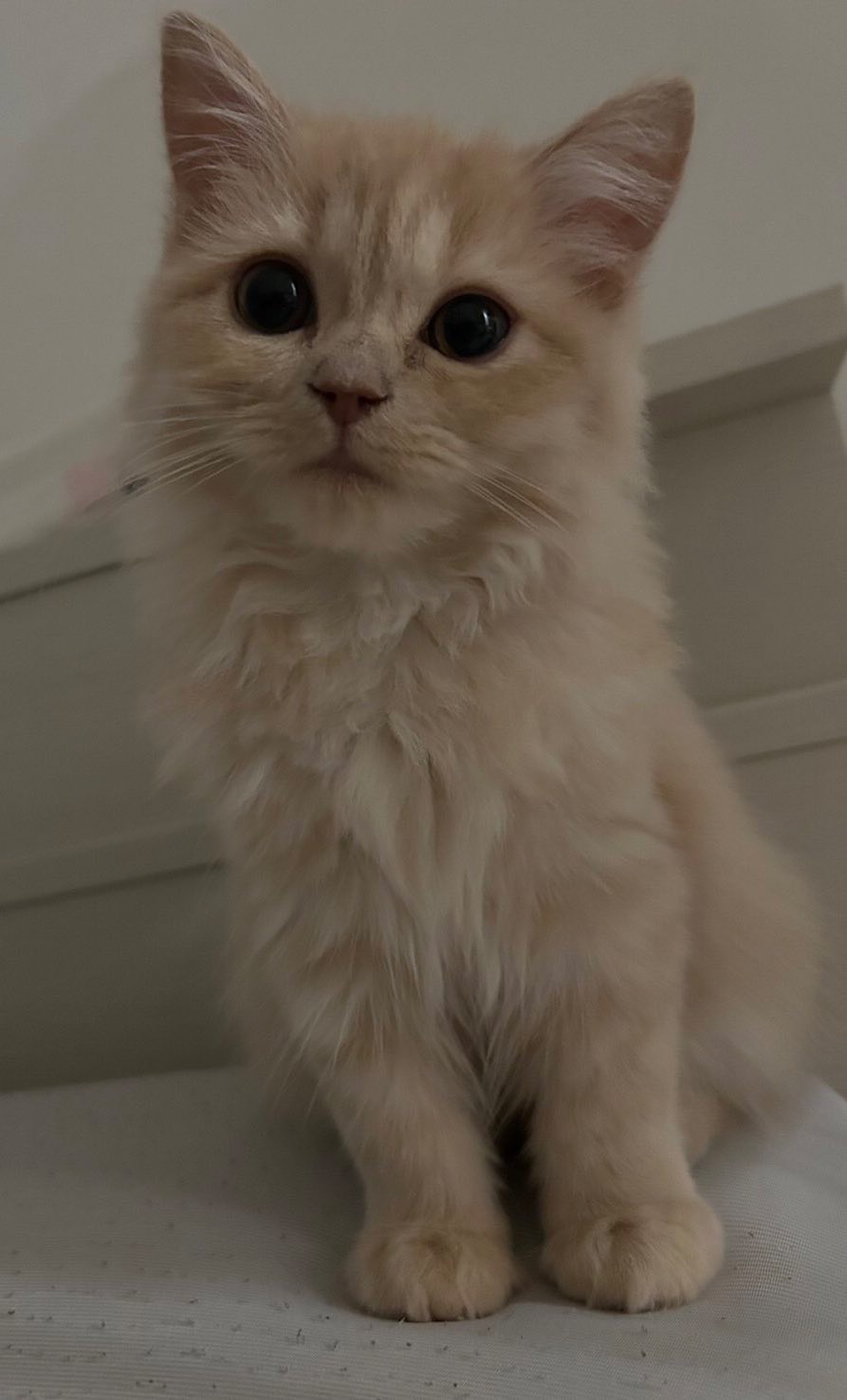 おはよ〜仕事前においで