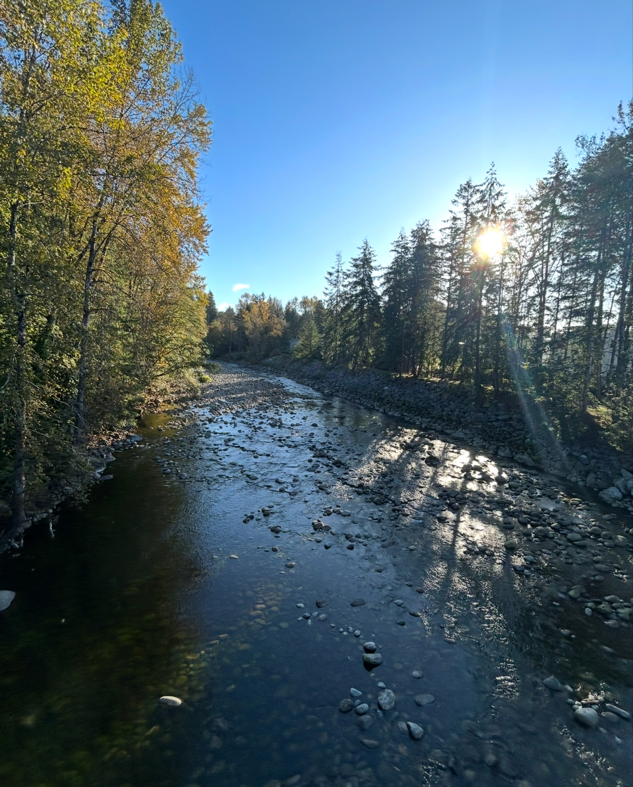 勉強してます。雑談しながら