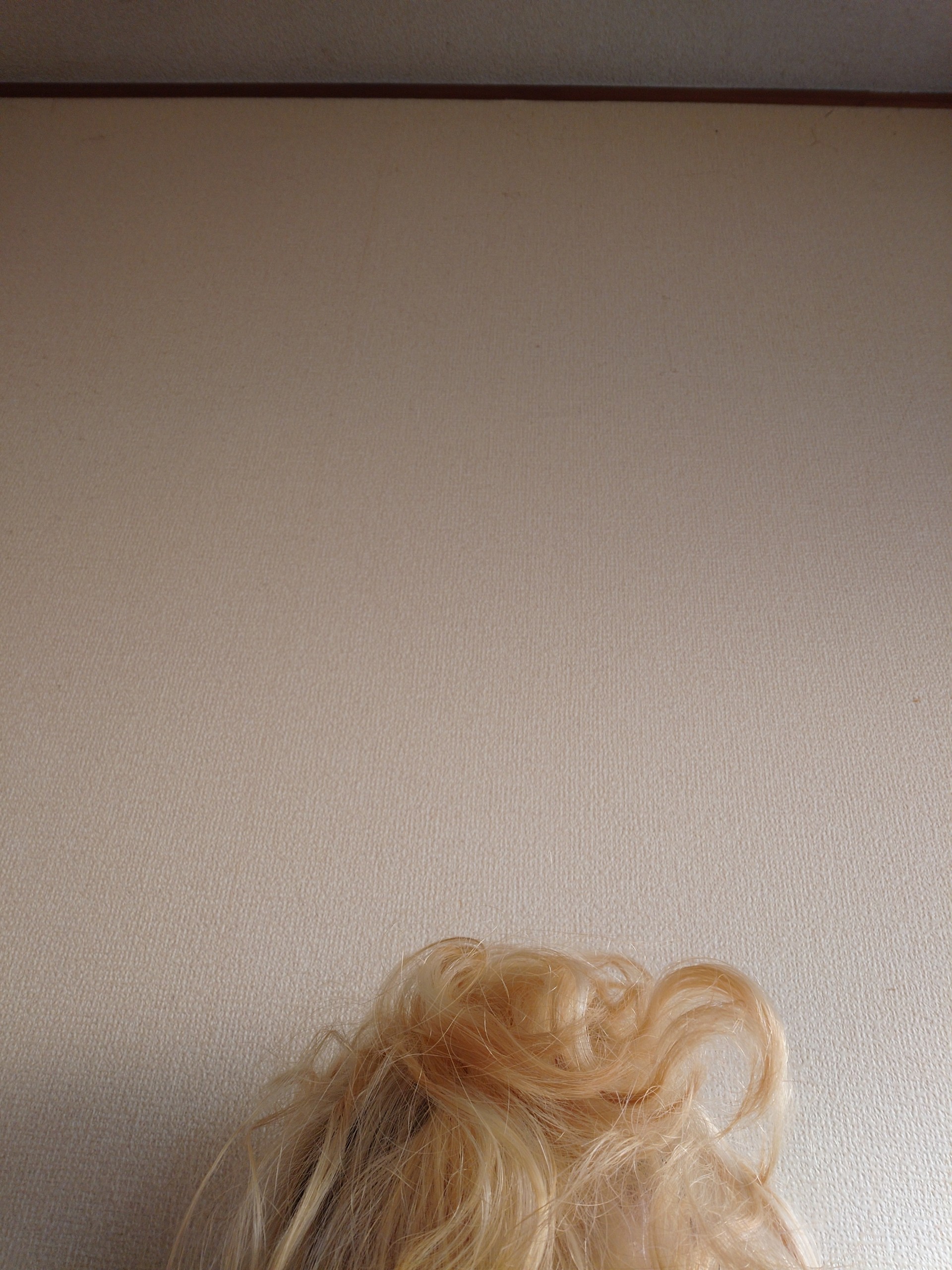 きみと話したい