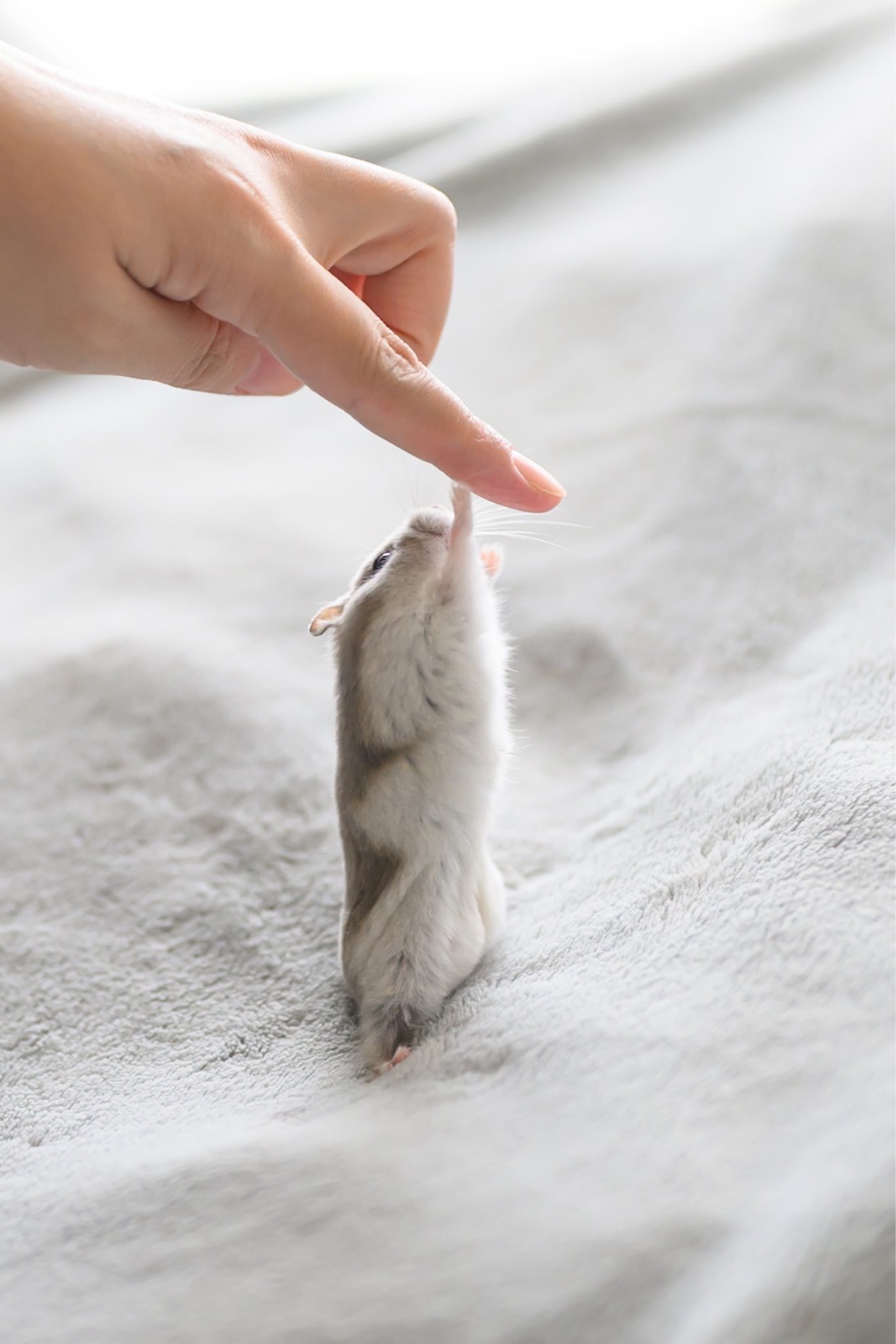 ただの暇つぶし雑談