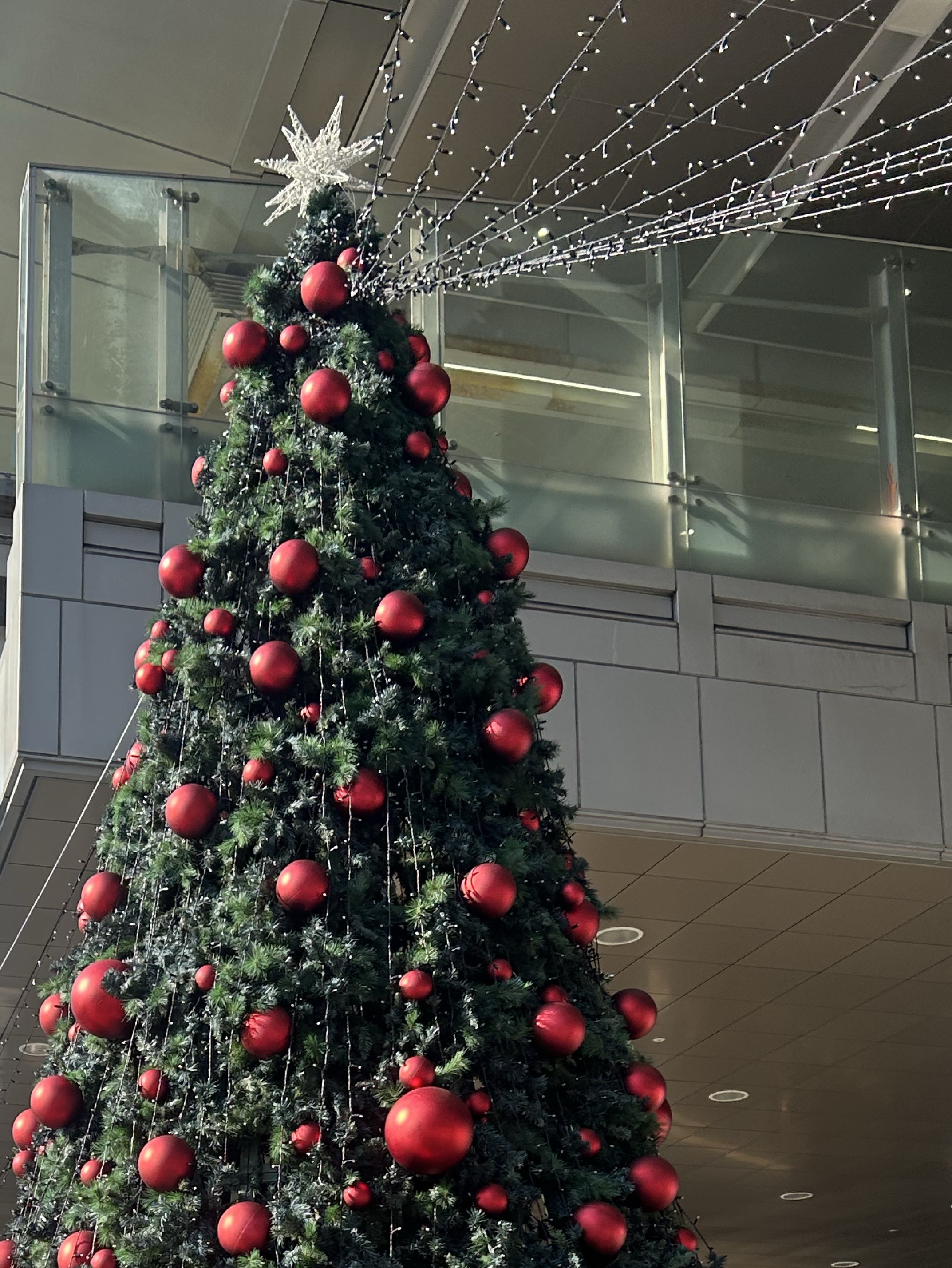 弾き語り、久しぶりだあ