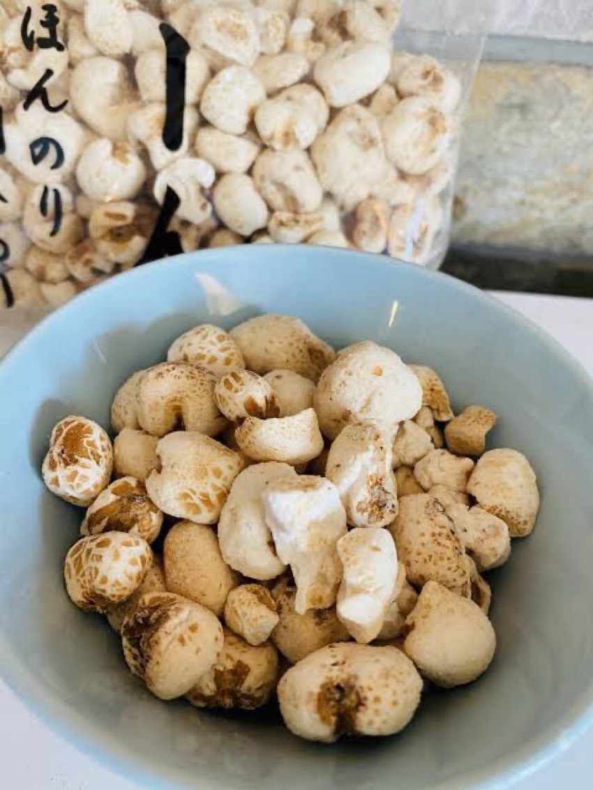 迷っても迷わなくてもココ☝️初潜◎