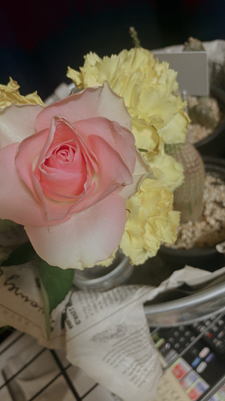 初潜寝ﾘｸ◎弾き語り。