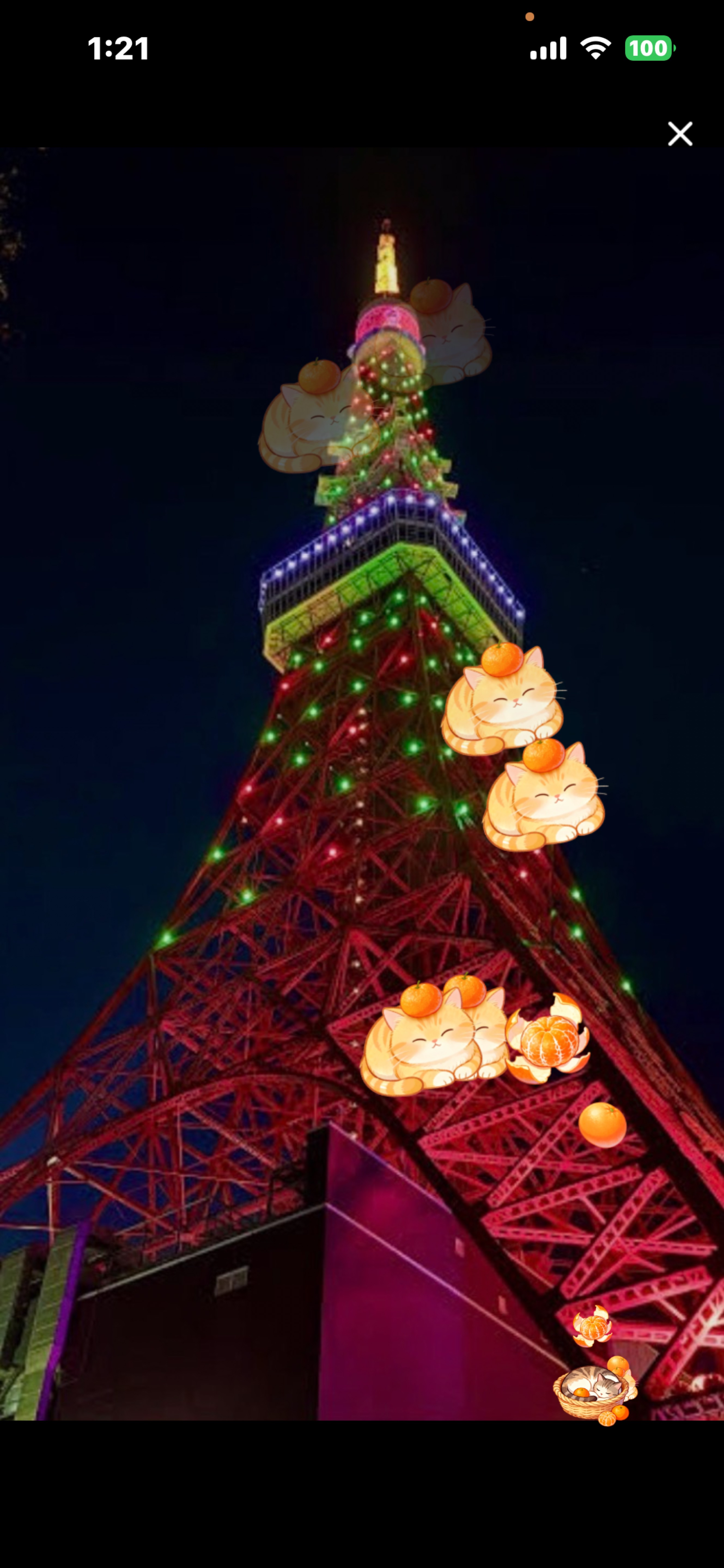 新成人集まれー！