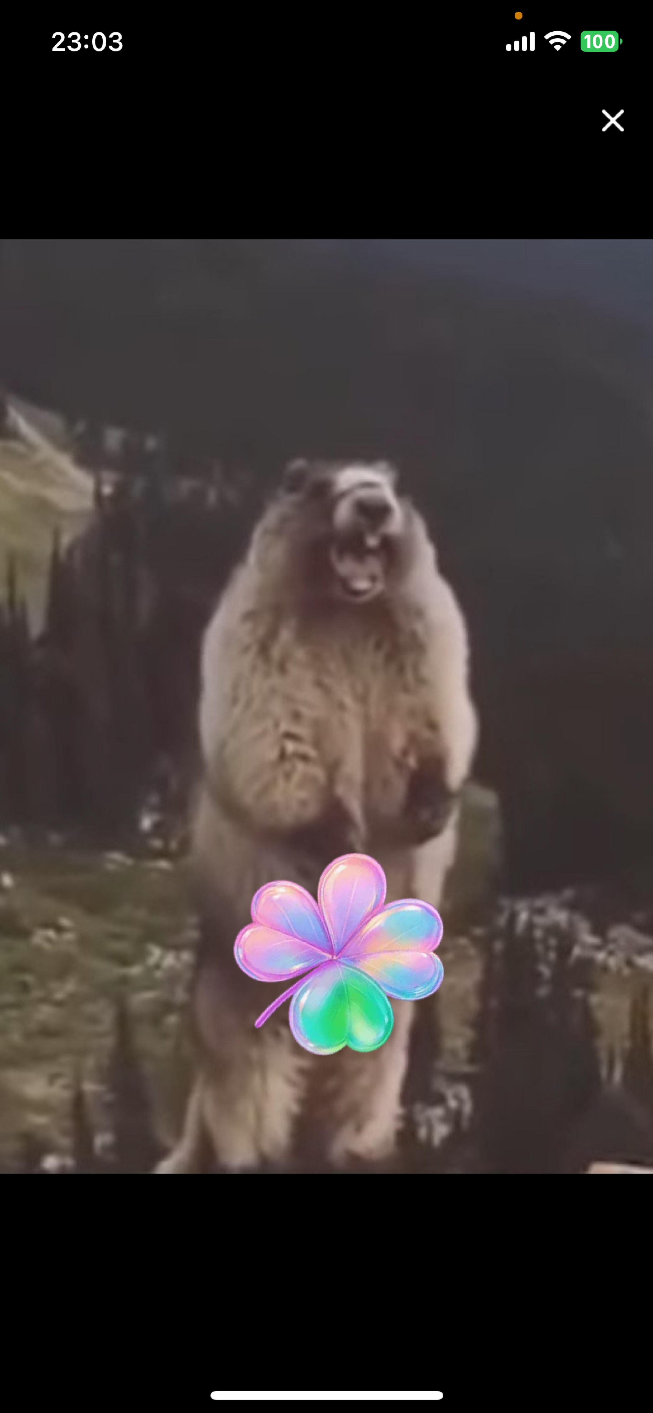 ﾜ"ｧ"〰︎︎‼️