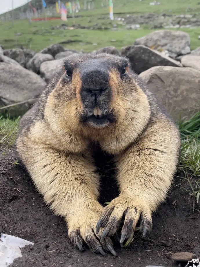 とにかく暇なので