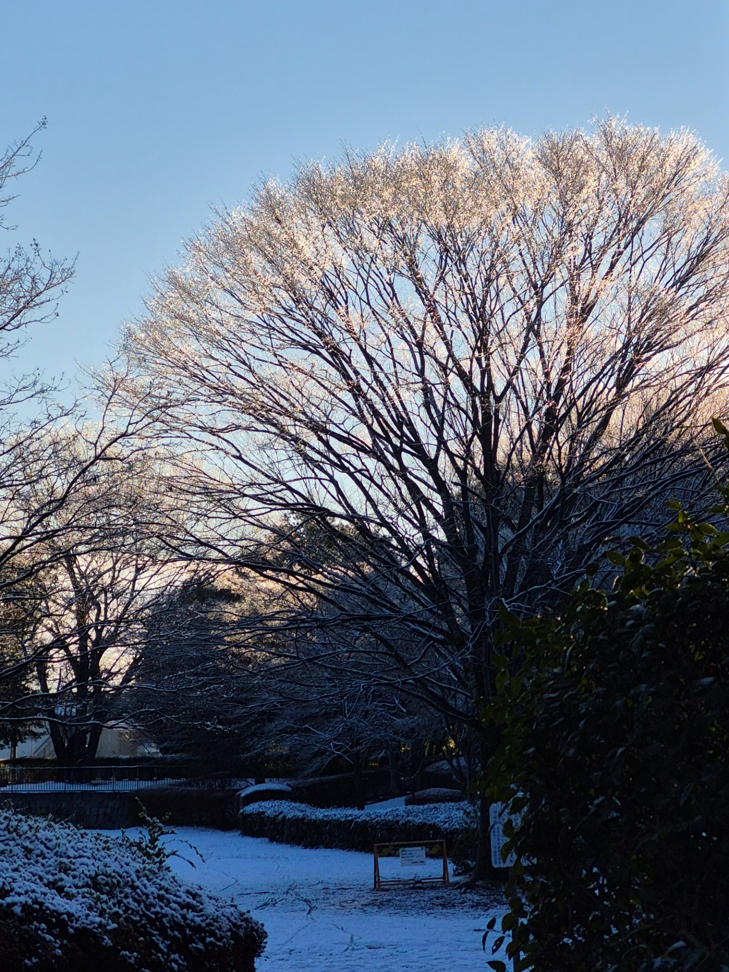 ほりごたつ ～ソロギターをゆるりと～