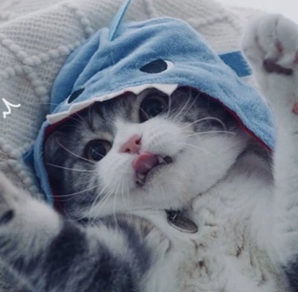 初配信してみた。話しましょう