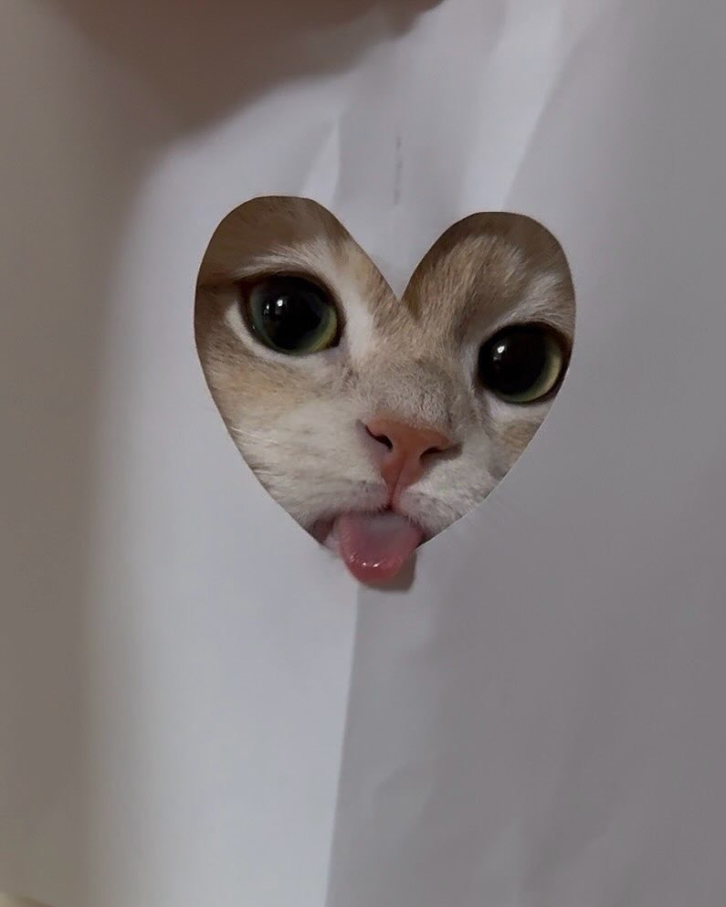 はなそーよそよ