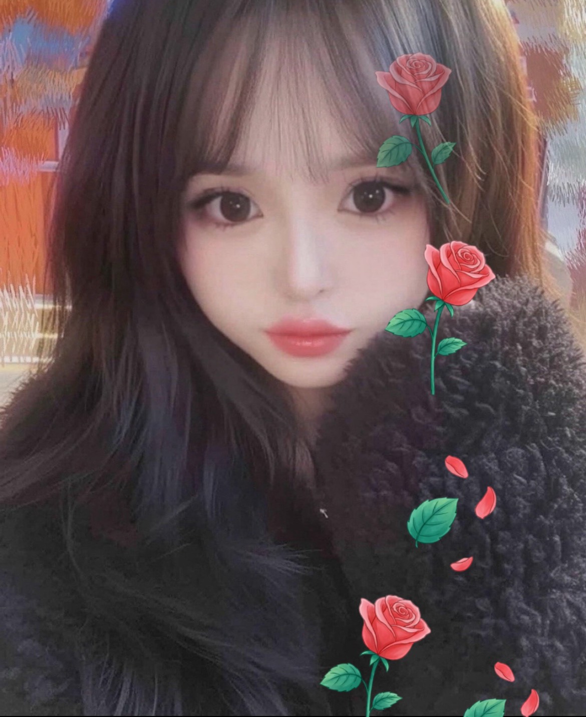 初見〇12時前まで