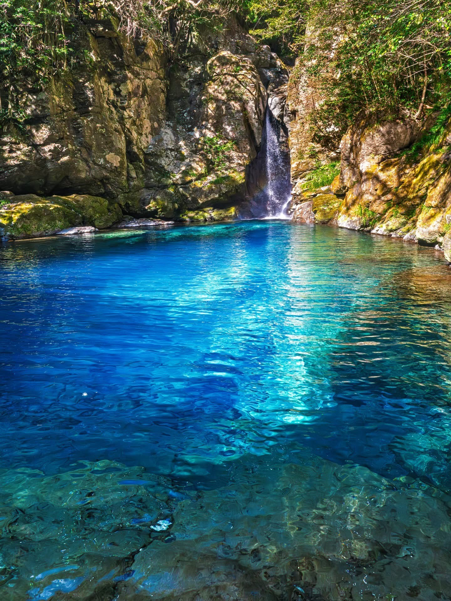 歌とかギターとか🎸
