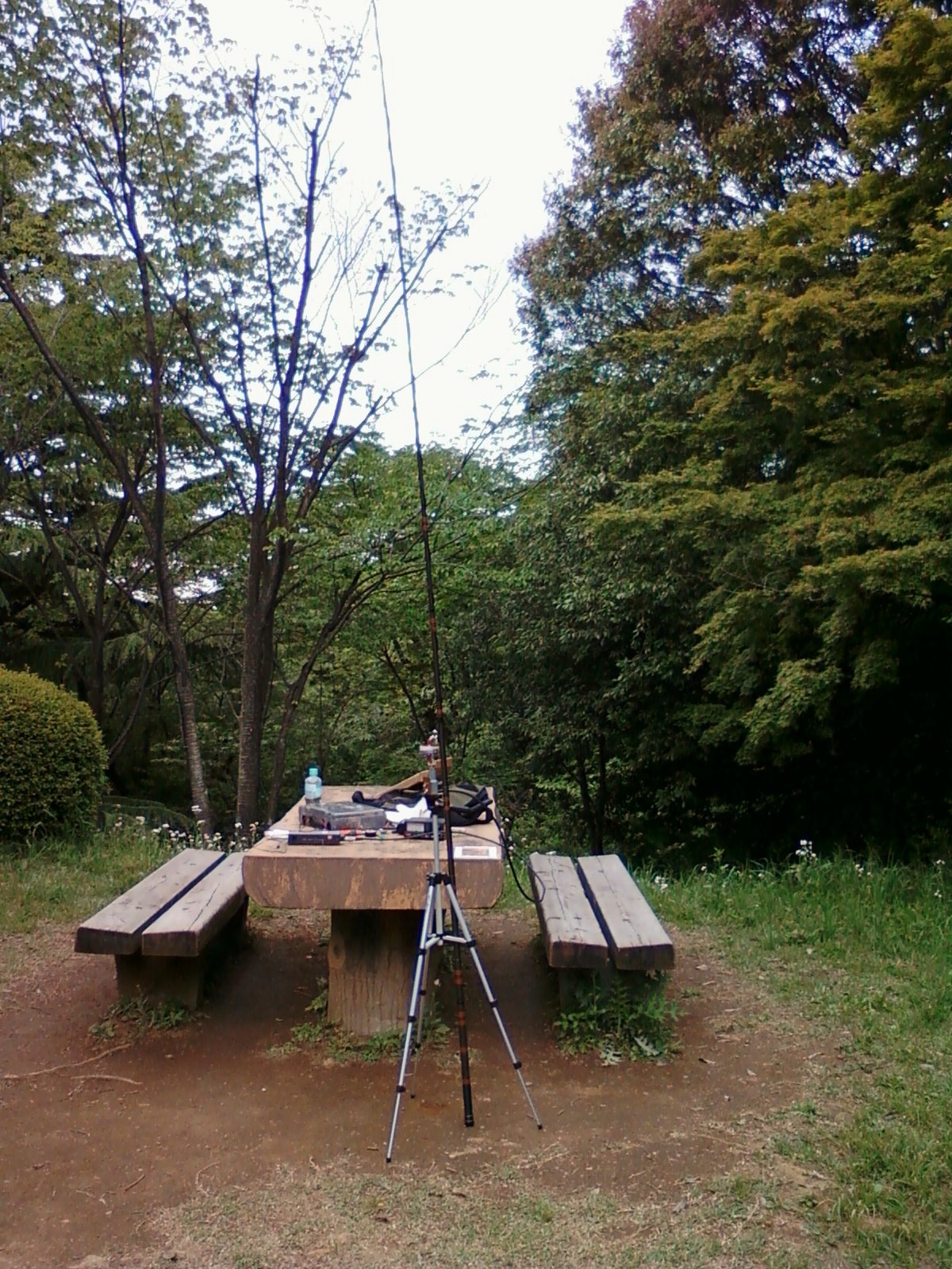 今日は暖か。話そうね。