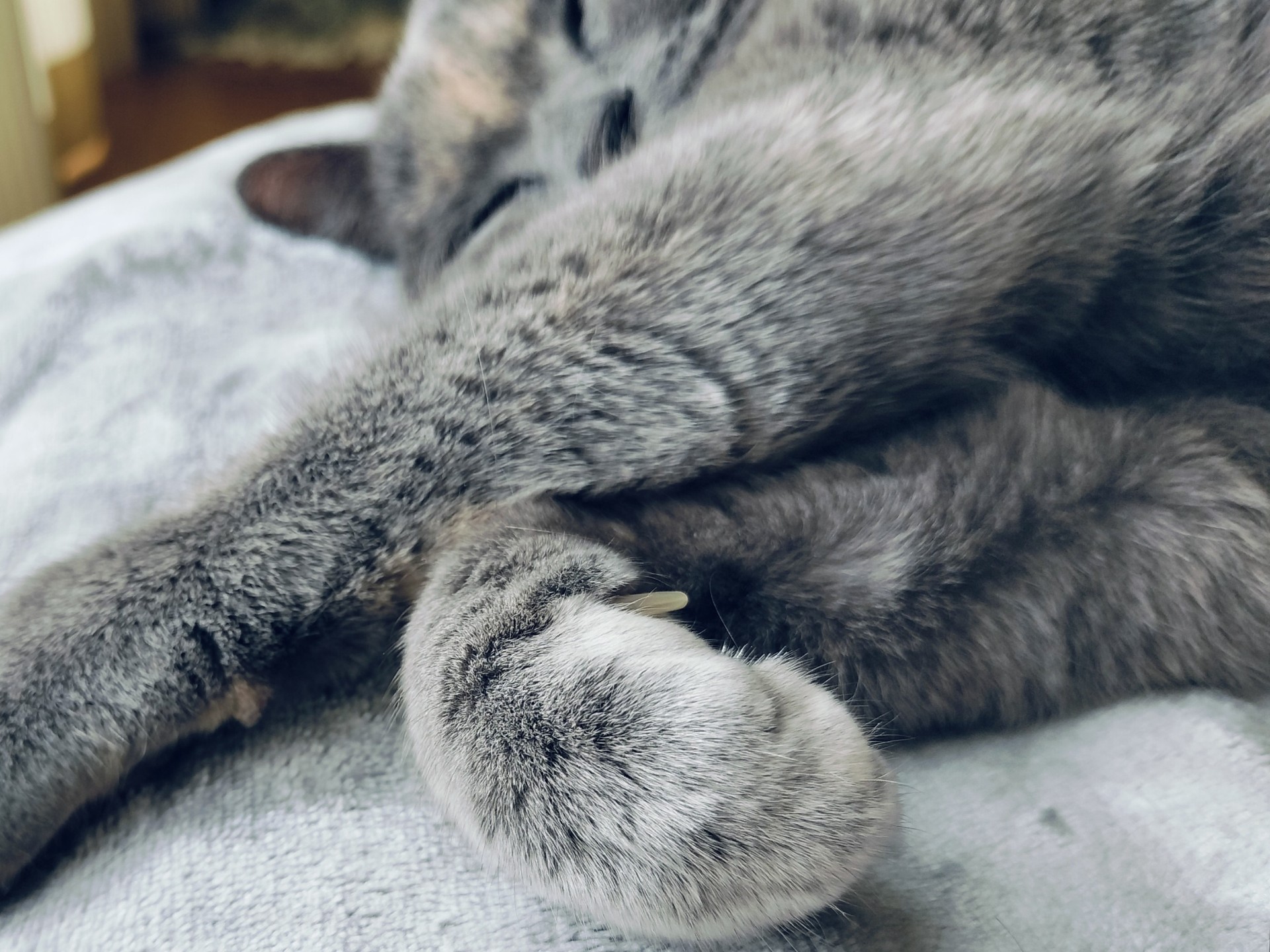 勉強かもしれない