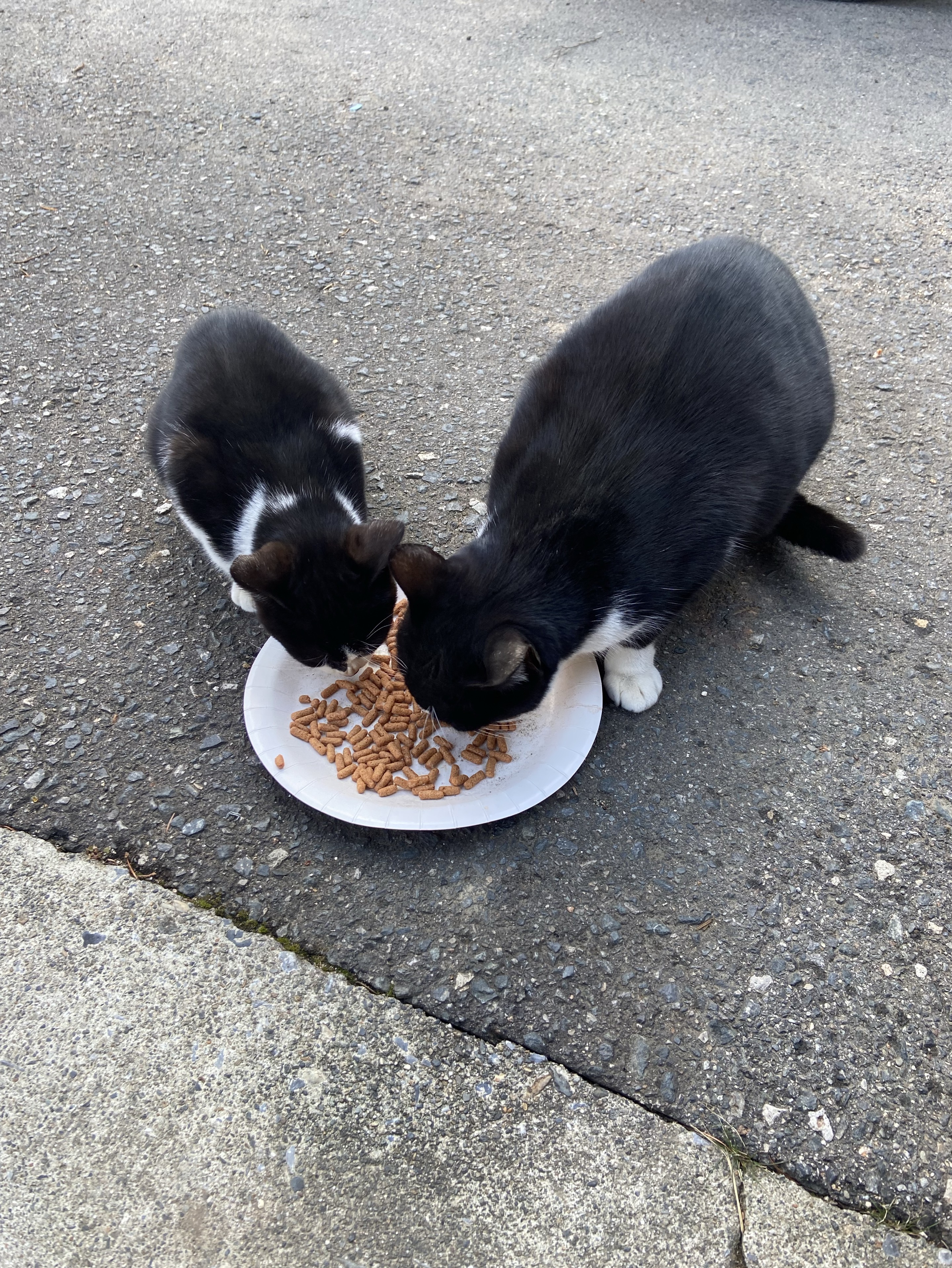 【あと30分】昼寝ボイス😴💤💗💭ྀི