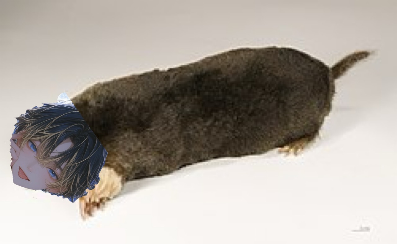 トーリス耐久200