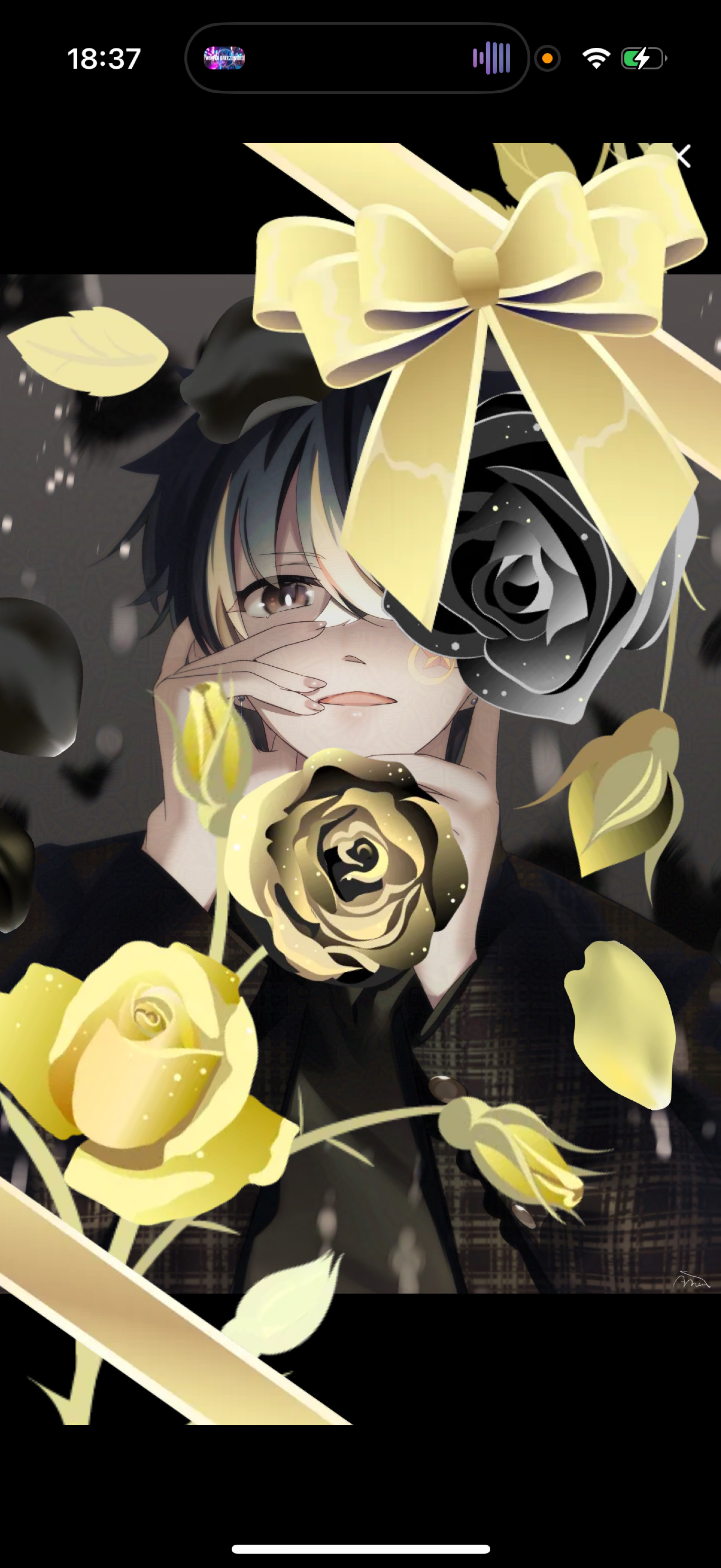 1/16 お気軽に┊︎歌と雑談