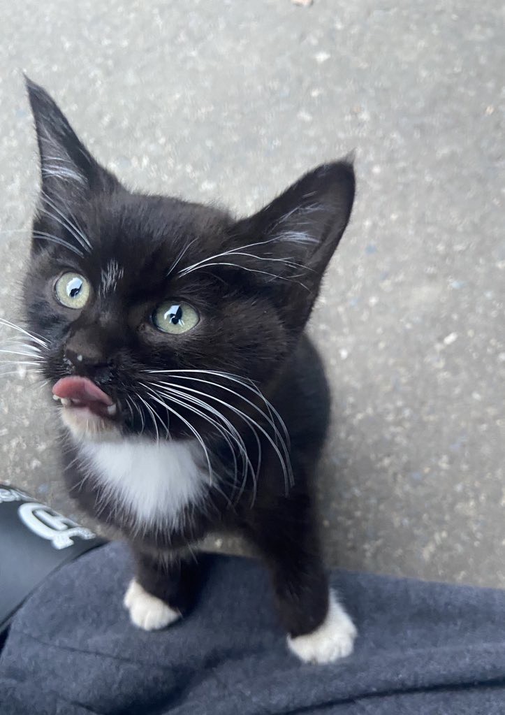 【あと30分】昼寝ボイス😴💤💗💭ྀི