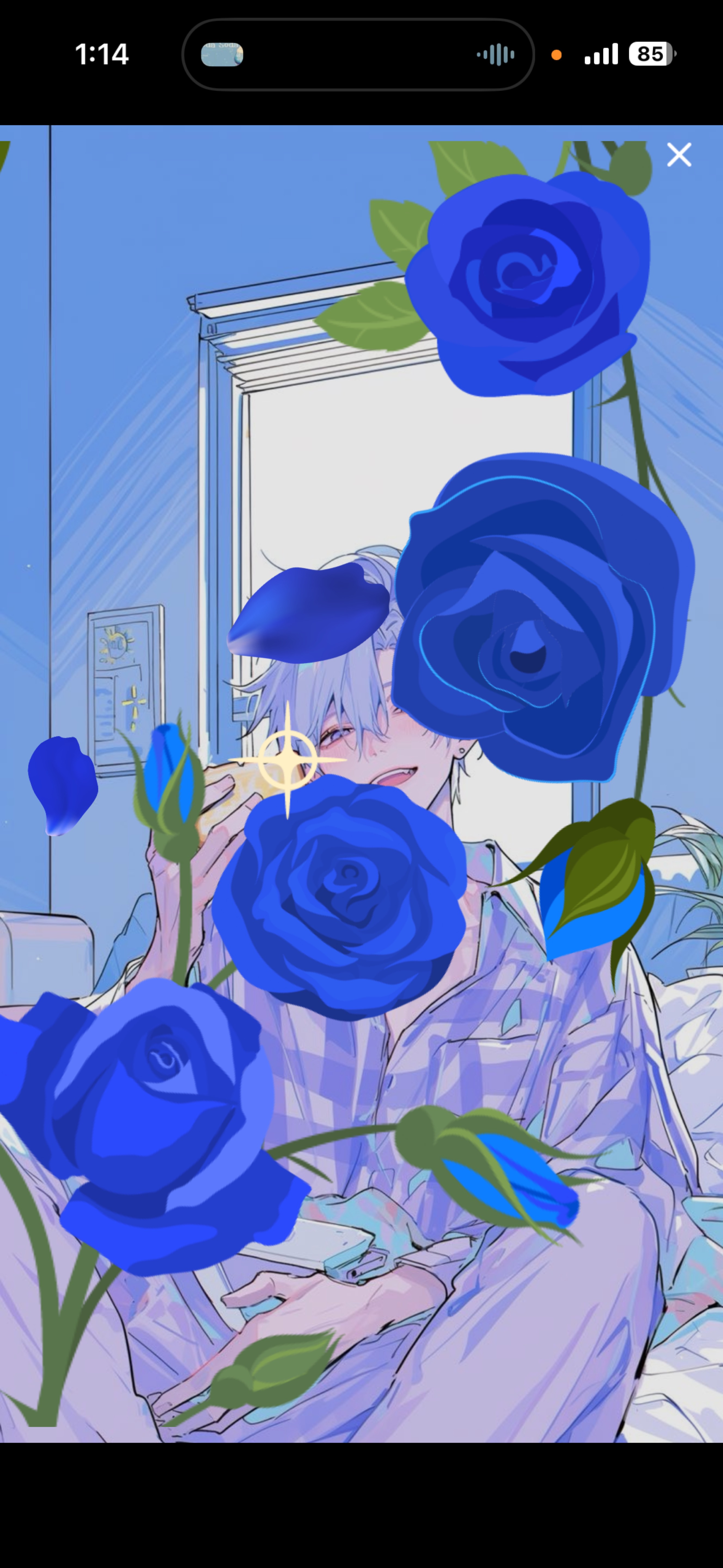 昼枠#あなたの心にいつまでも