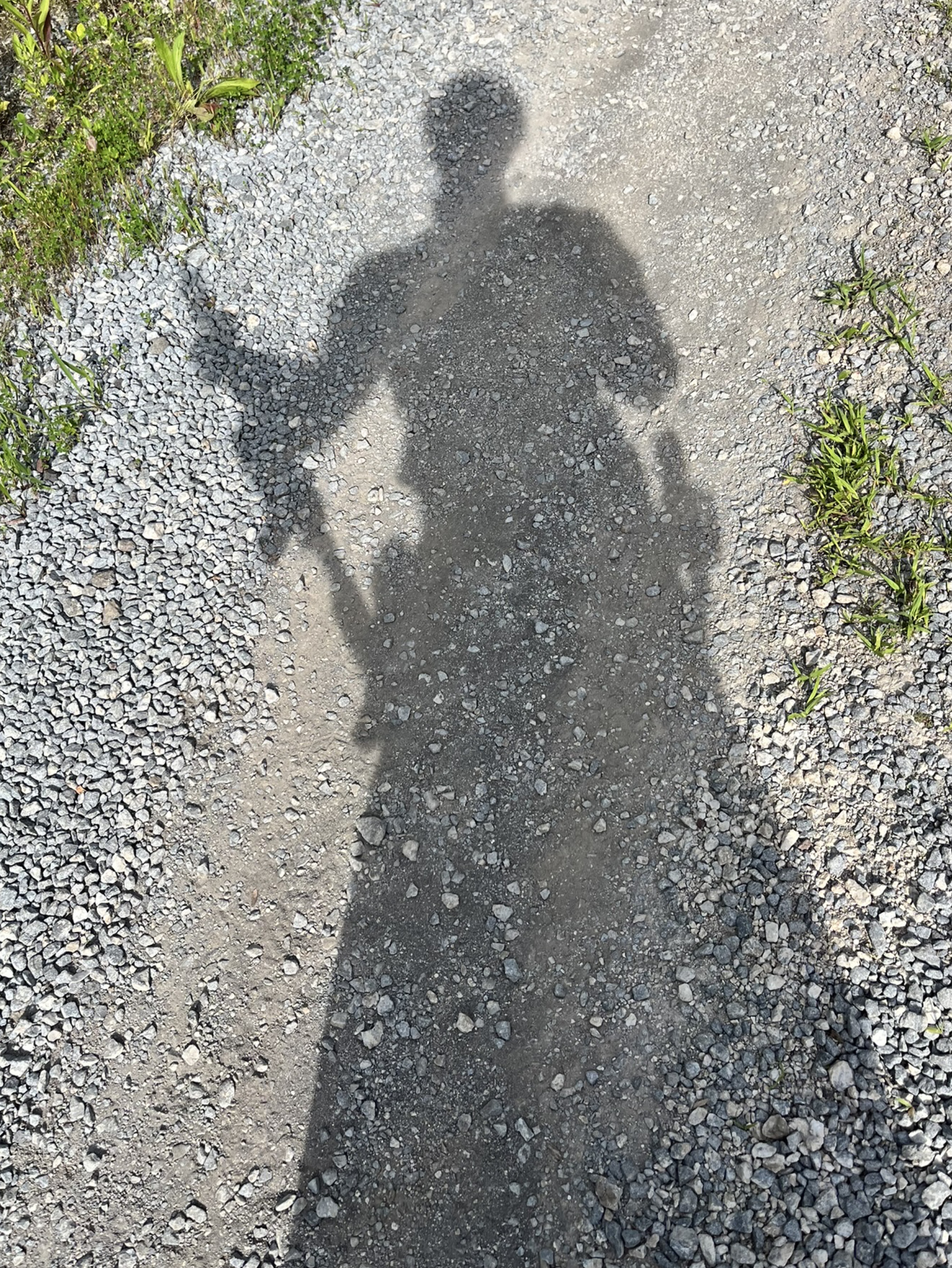 お疲れ様！【話し相手ほしい🥺】