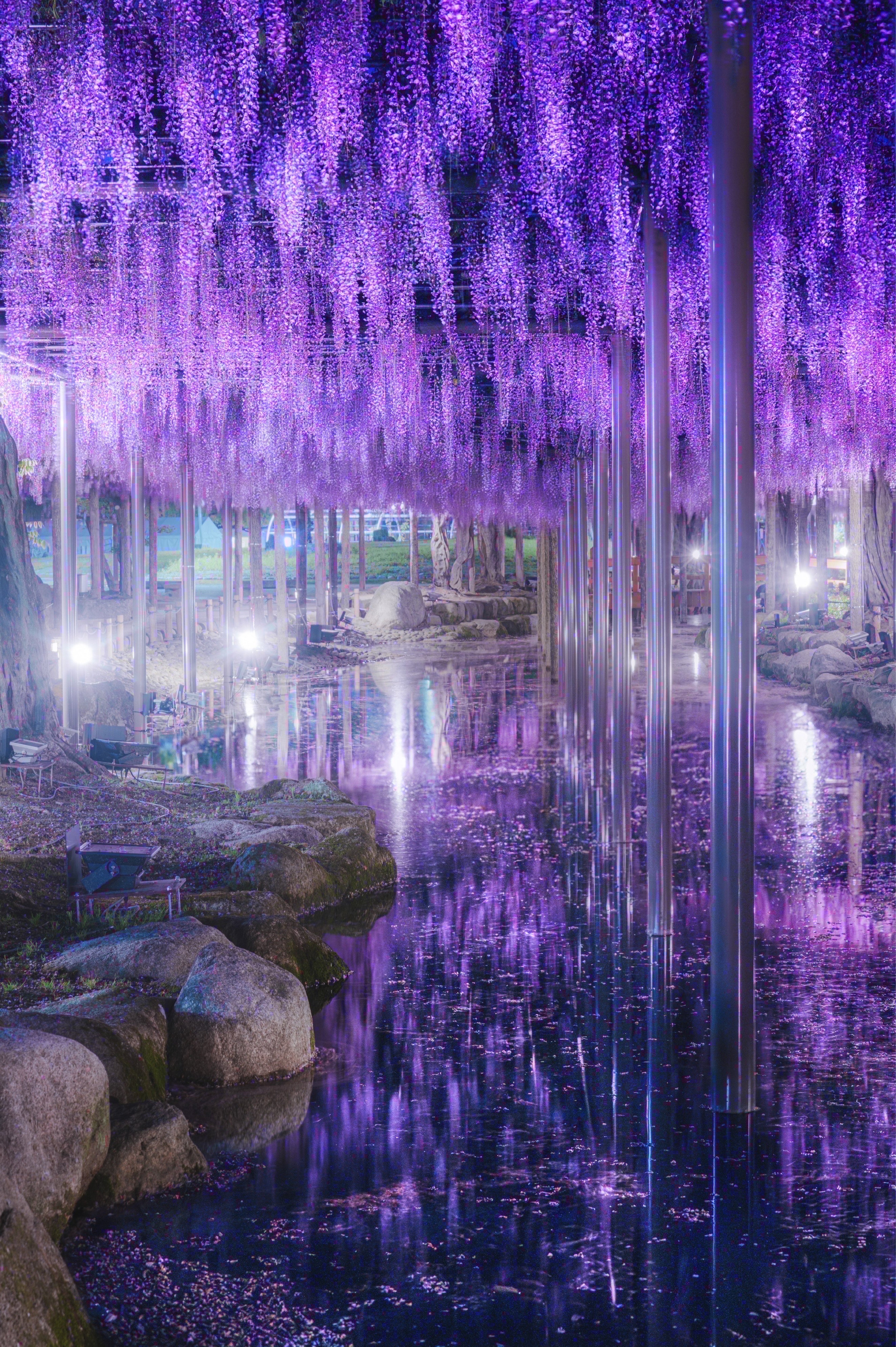 寝落ち₺ƾ(ﾉ)•ω•(ヾ)₺ƾ