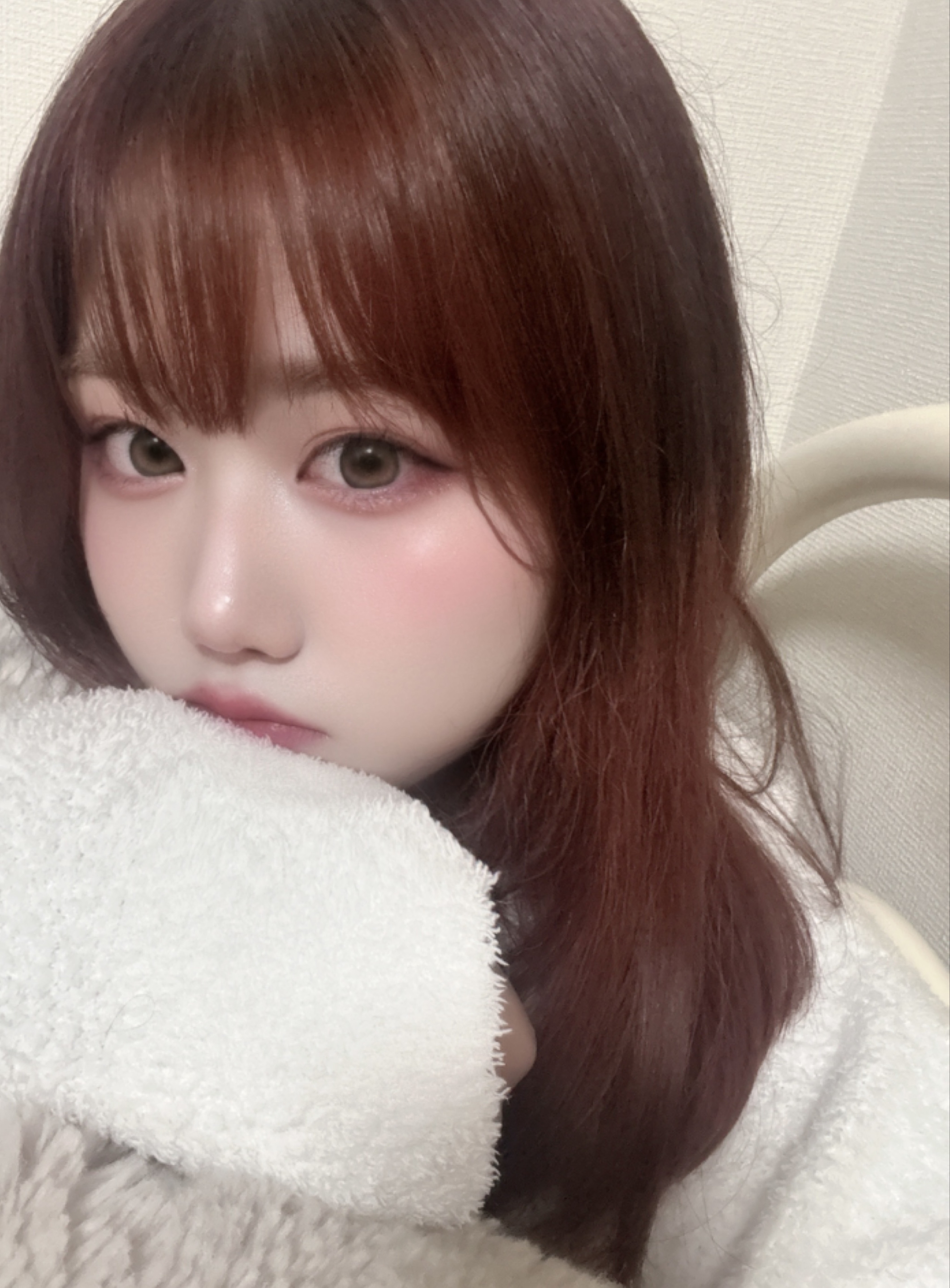 仲良くしてにゃ