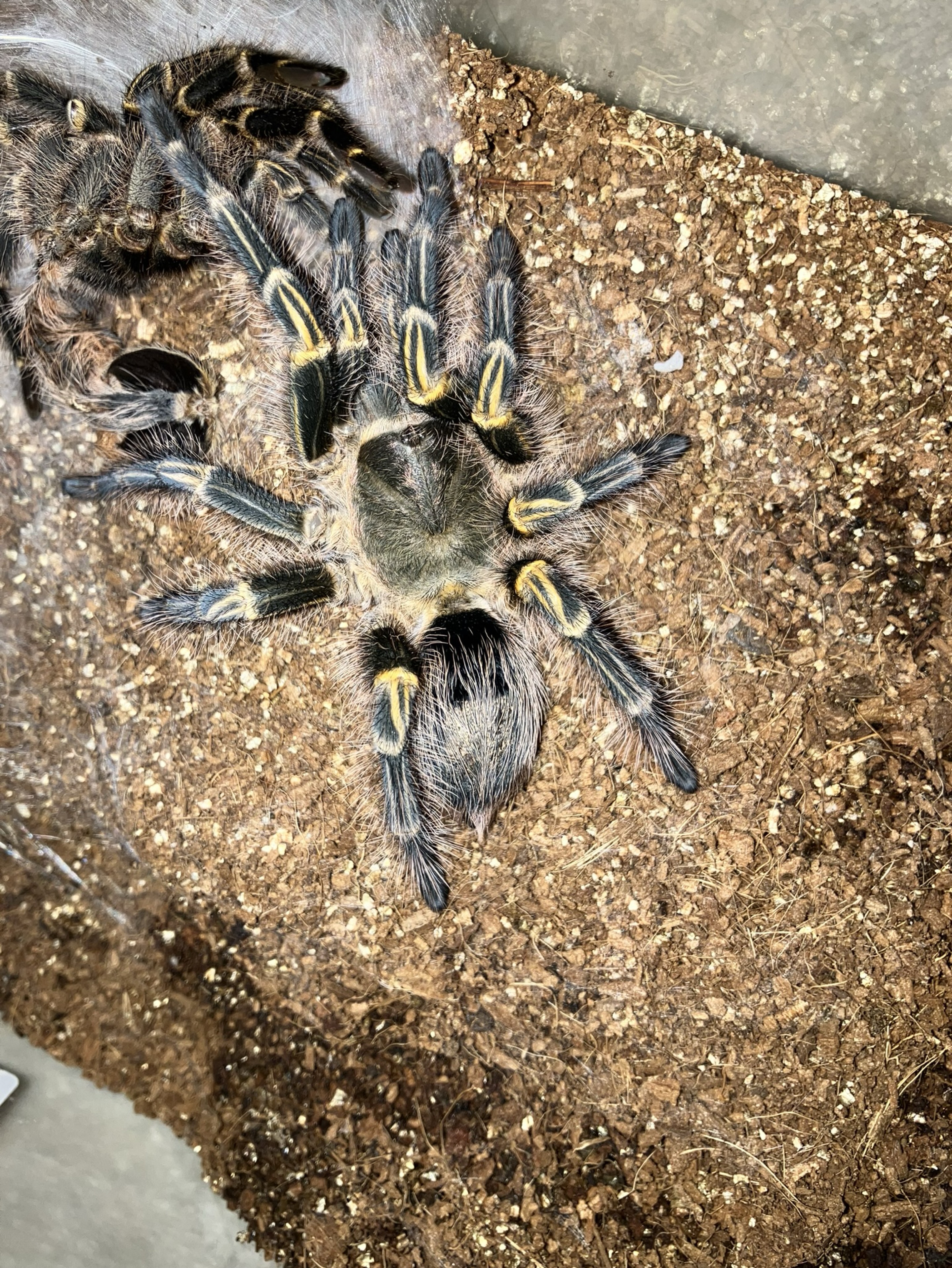 ひまぁ…初見さん◎