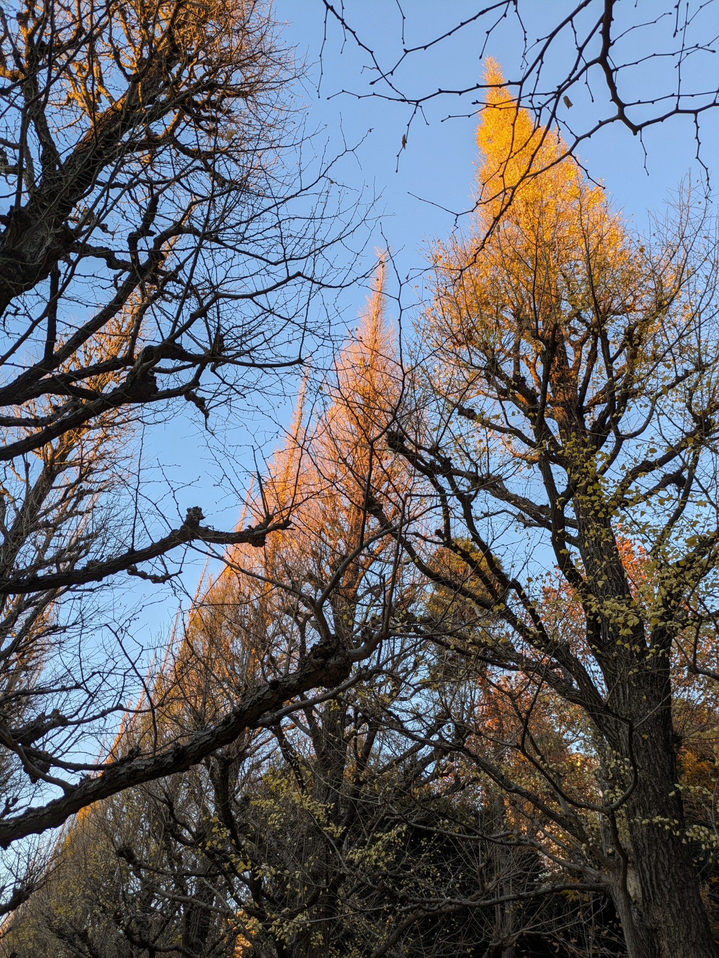 ギター弾き語り