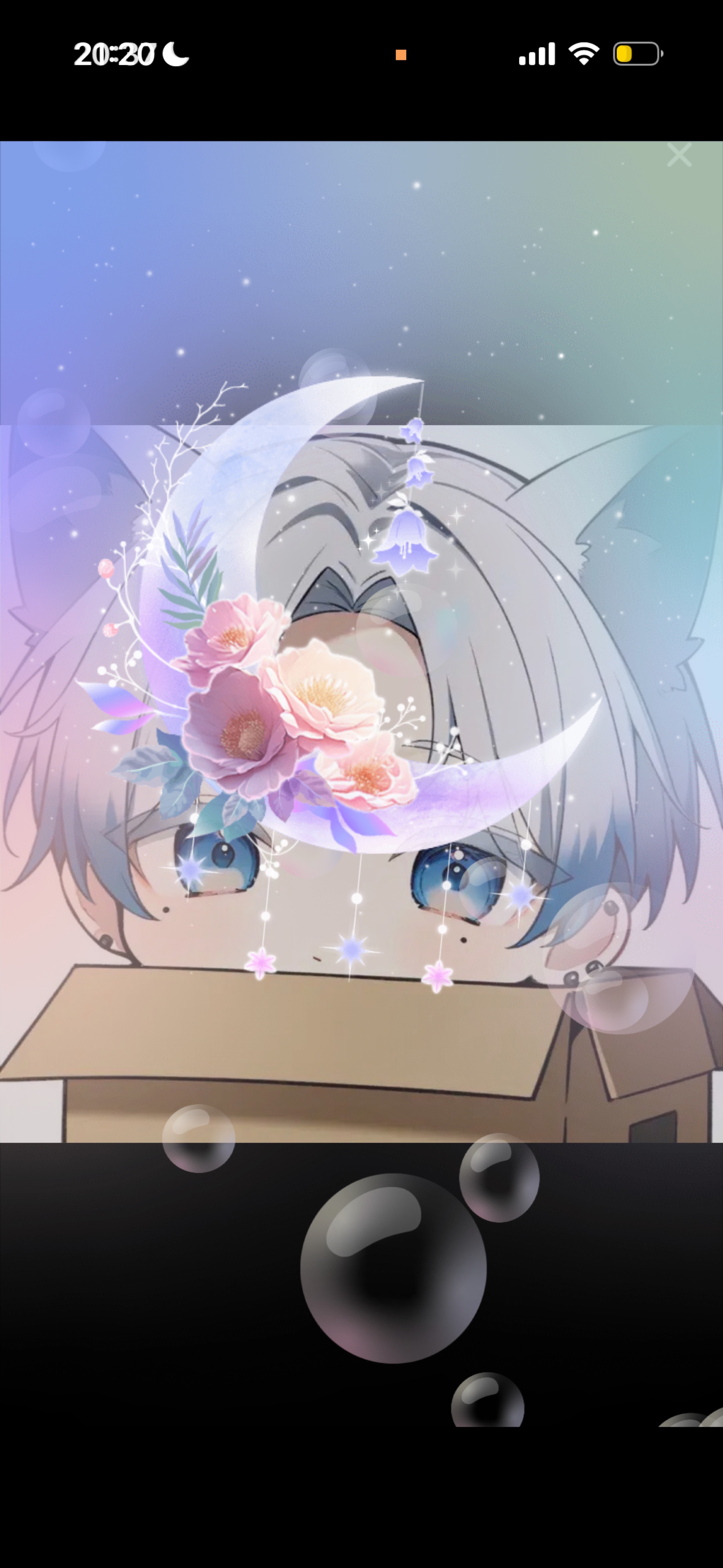 初にゃん枠来ないで‼️