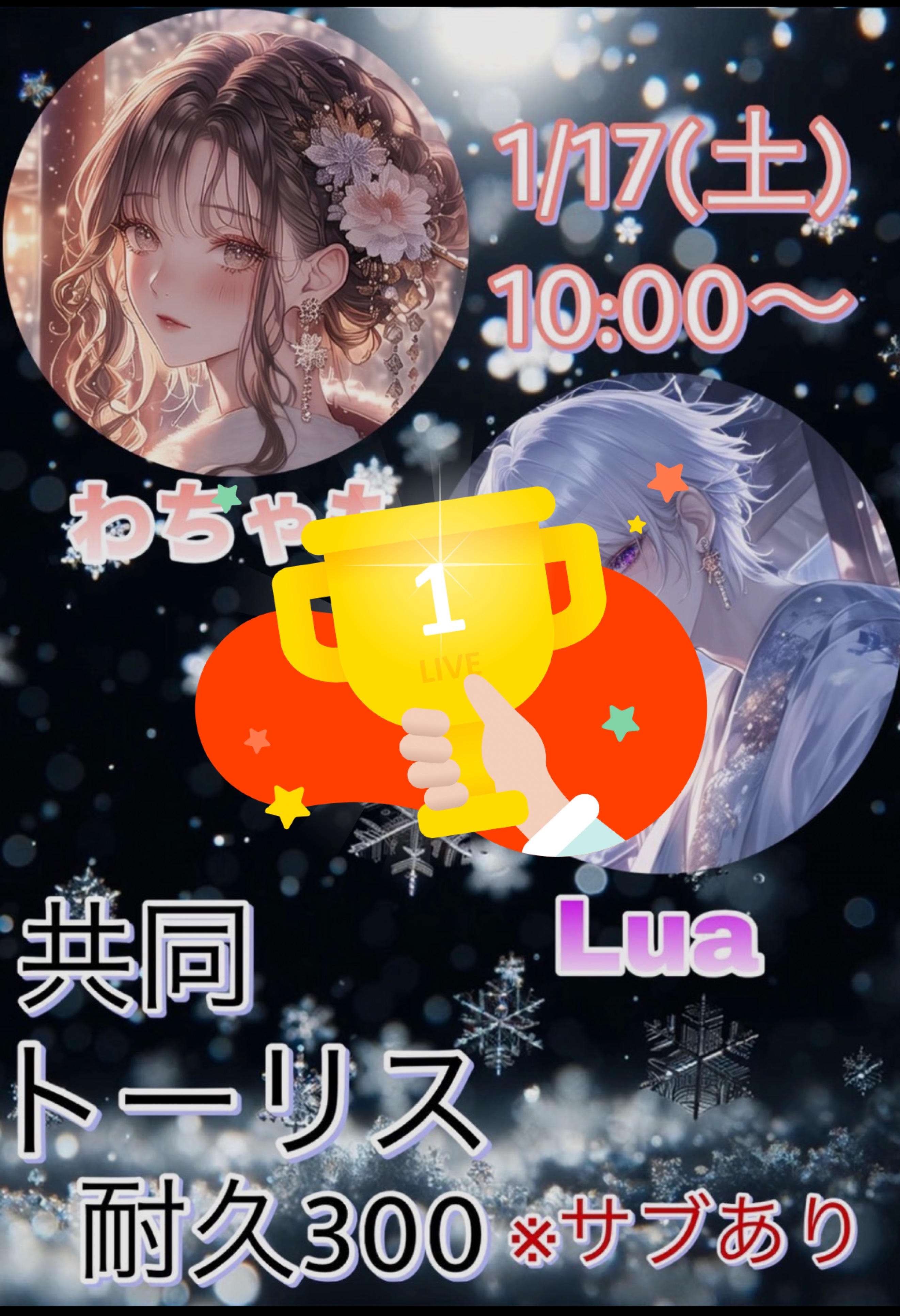 共同トーリス耐久300