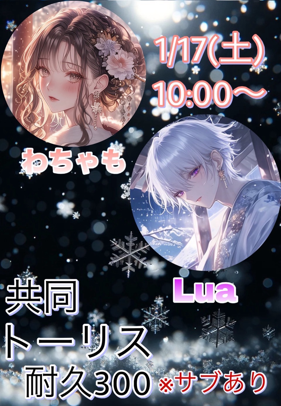 共同トーリス耐久300