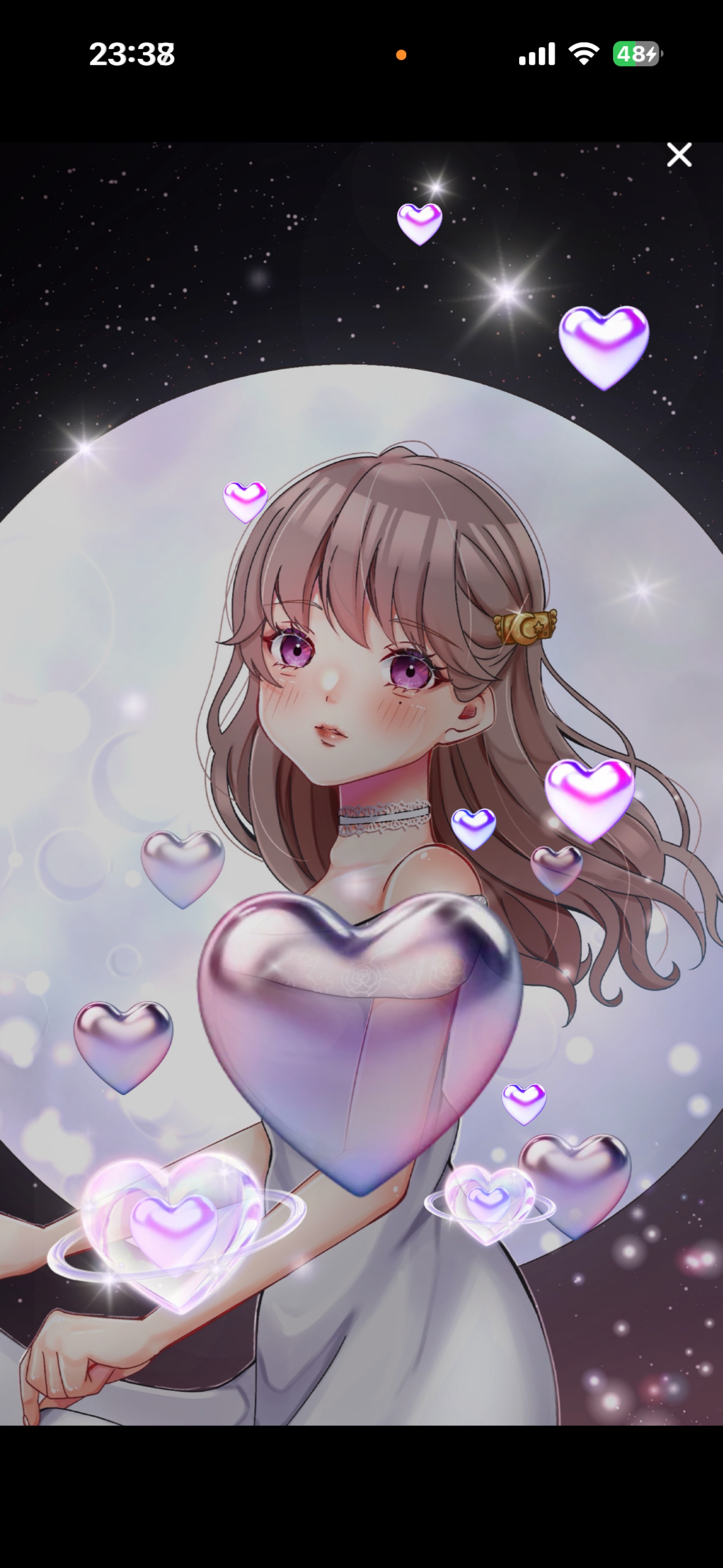 夜はここ！みんないらっしゃい！