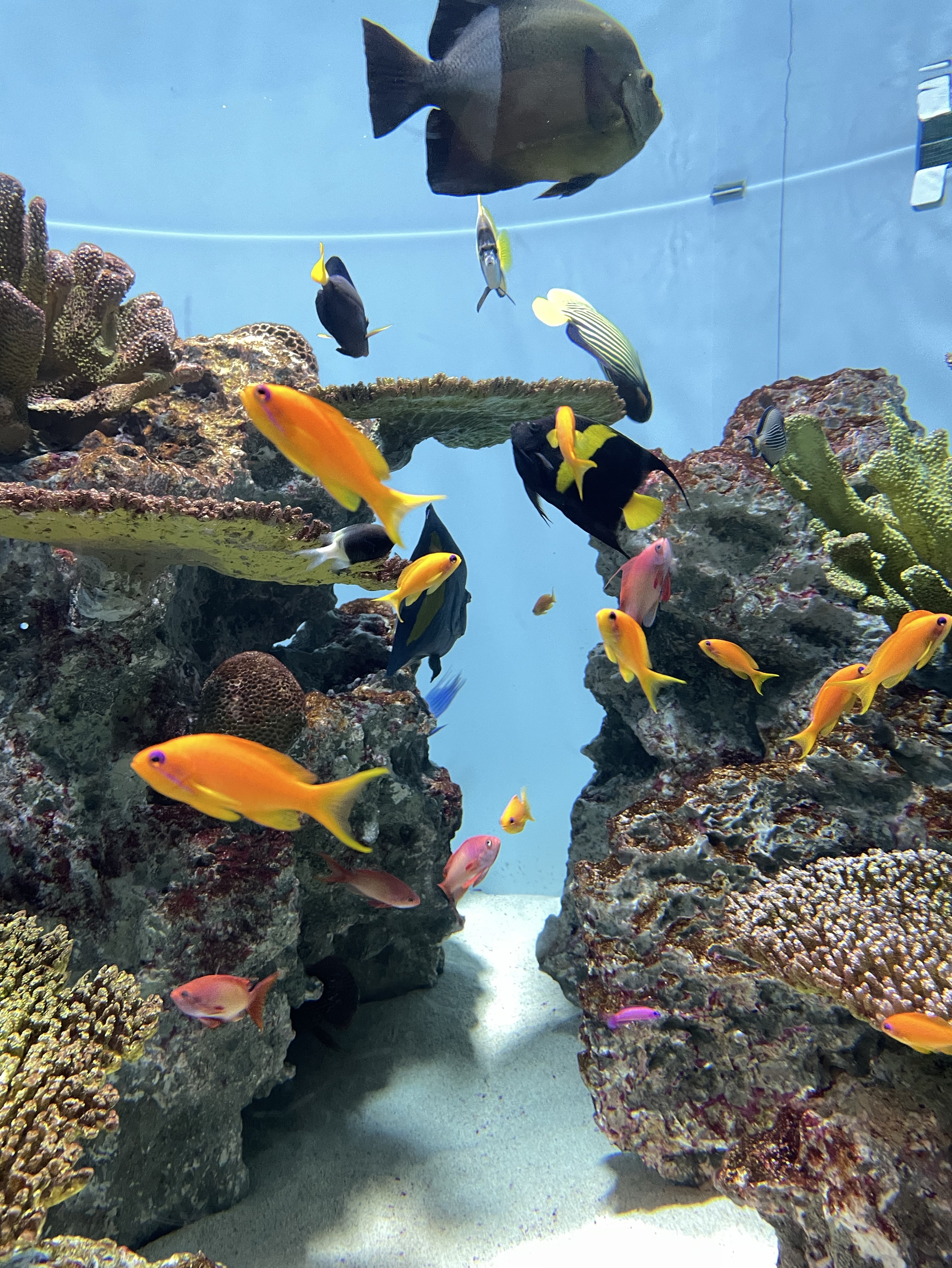 1/18☀️おはよう！