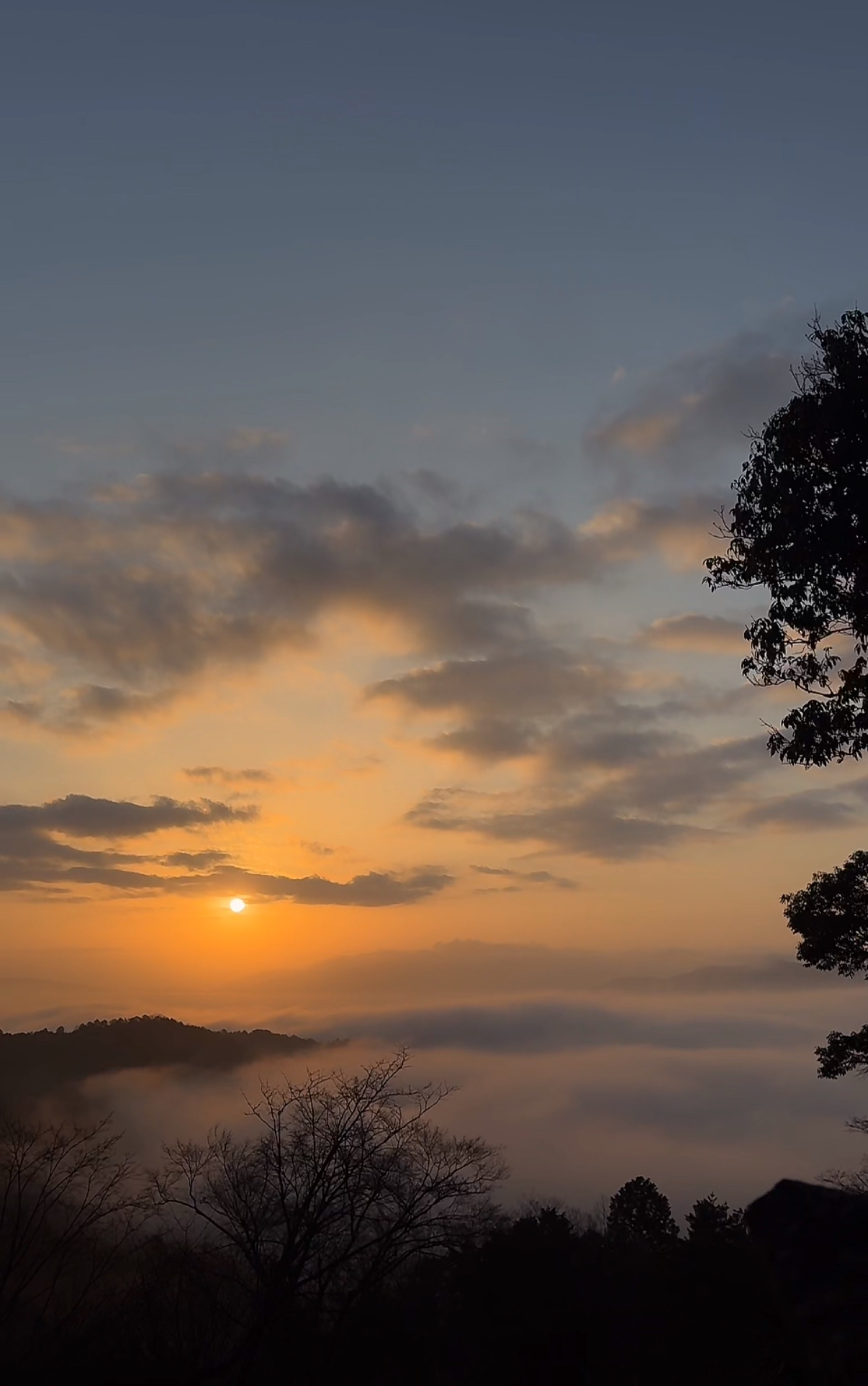 ピアノで潜る枠