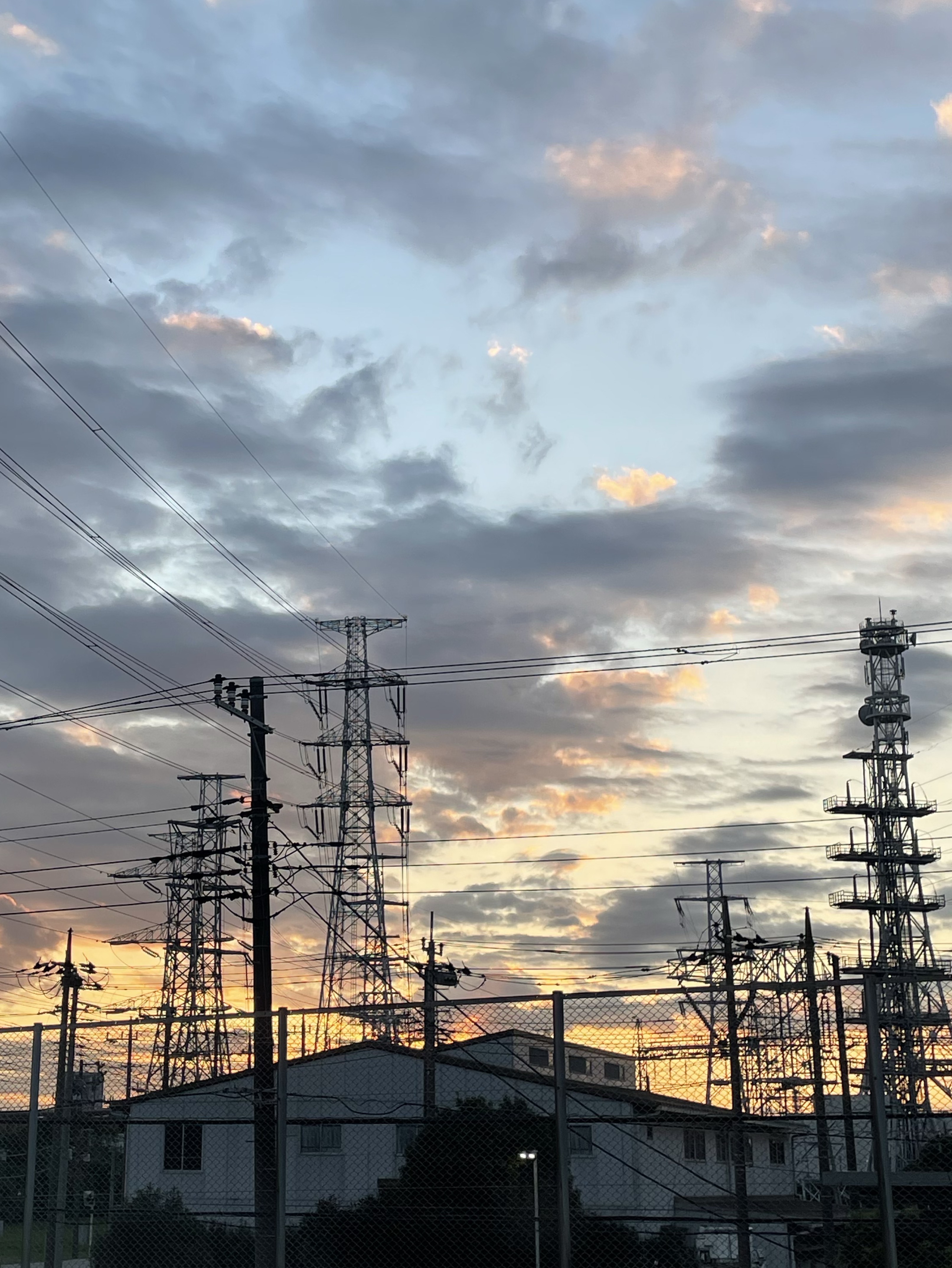 映画のはなしでもせーへん？