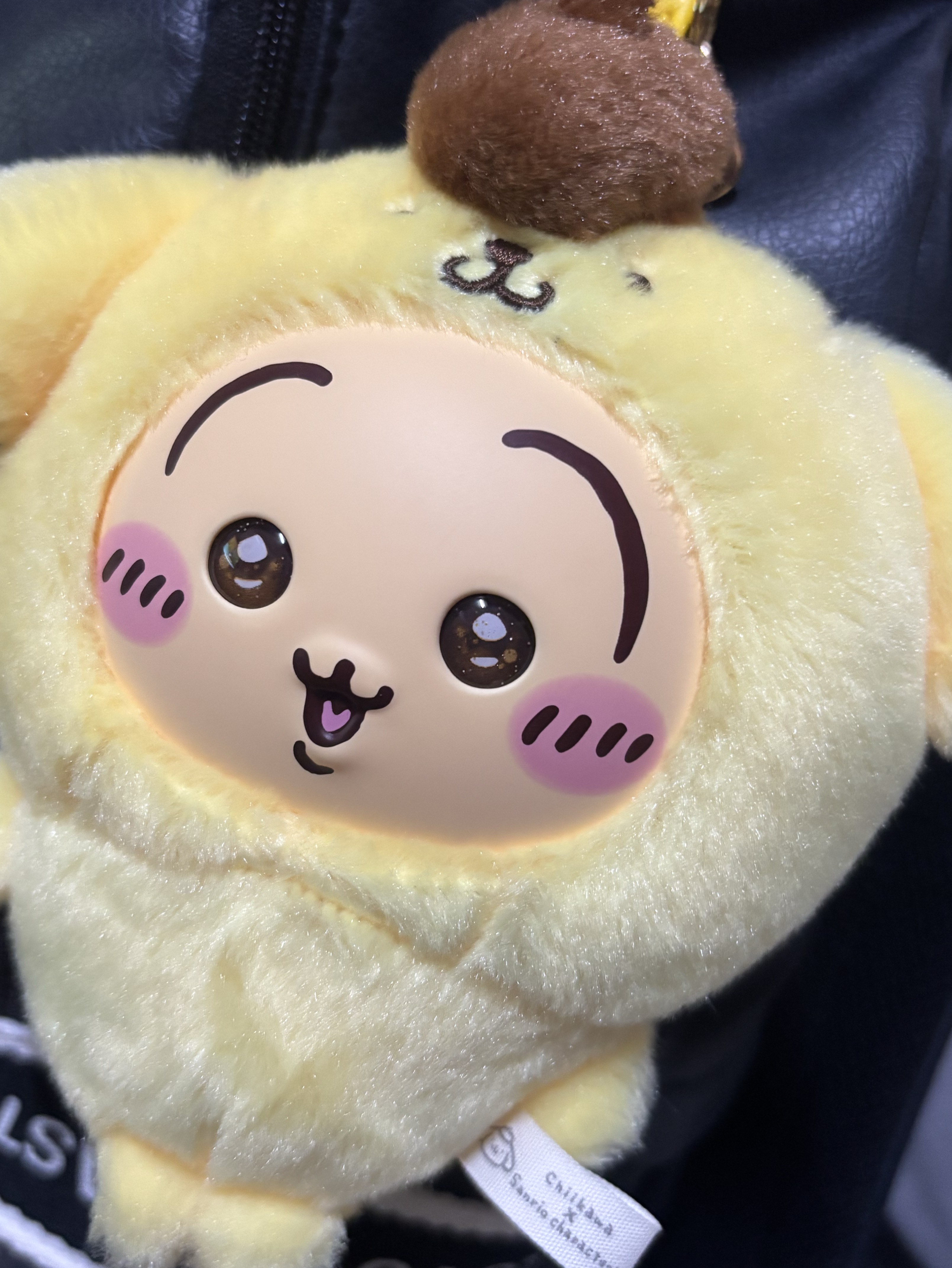 初見大歓迎　寝落ち配信