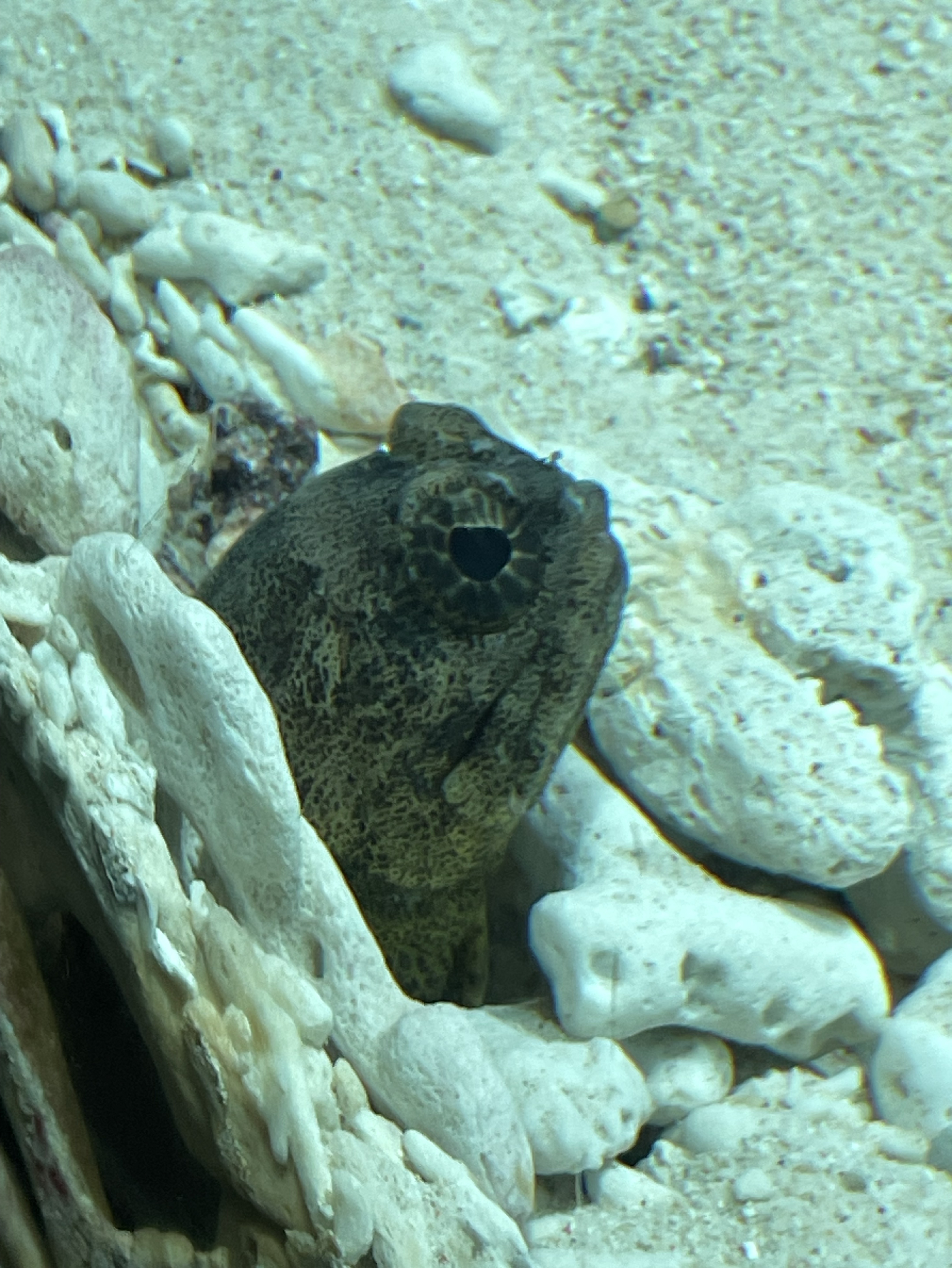 1/18☀️おはよう！