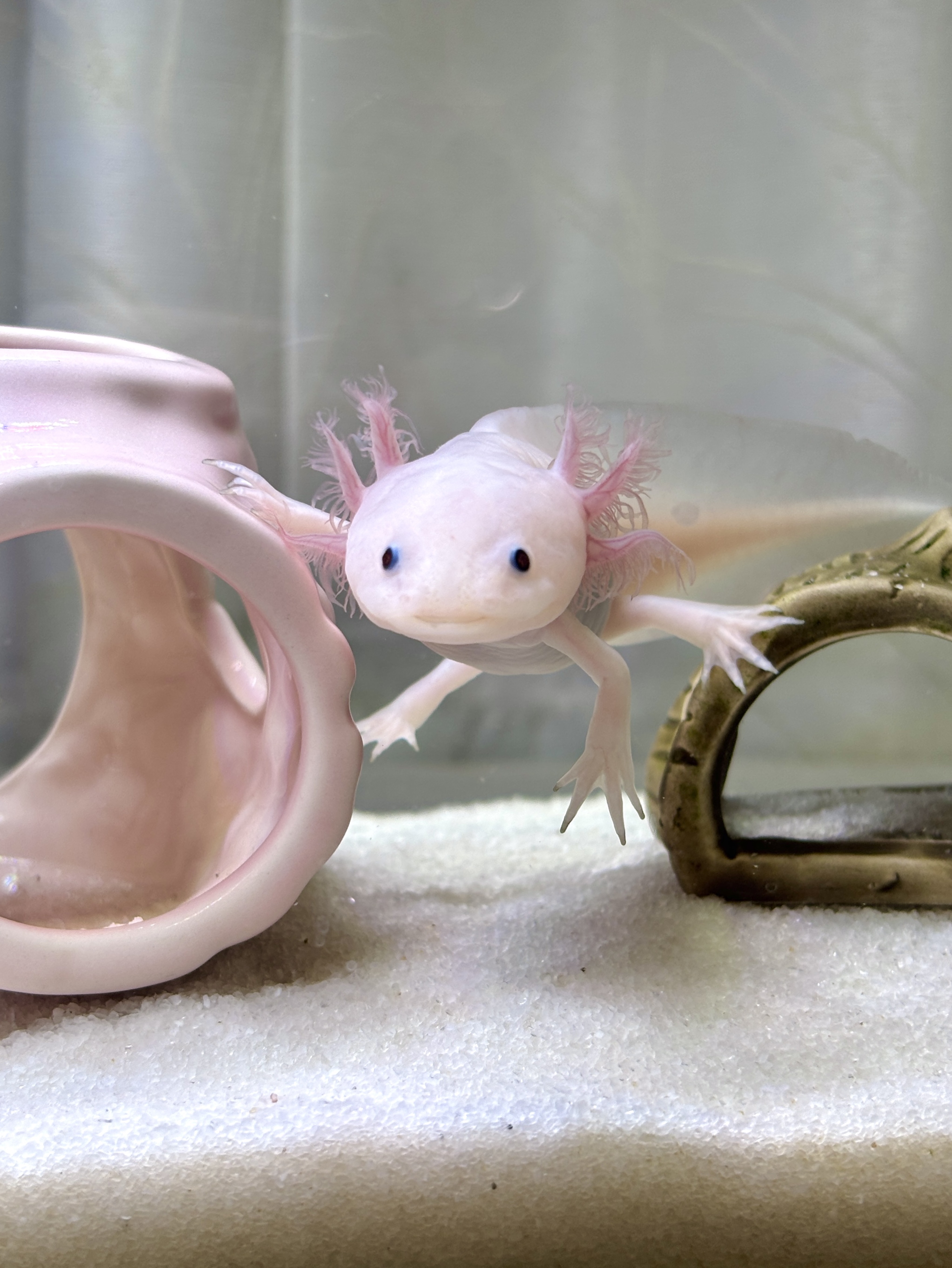 お昼はここ！みんないらっしゃい！