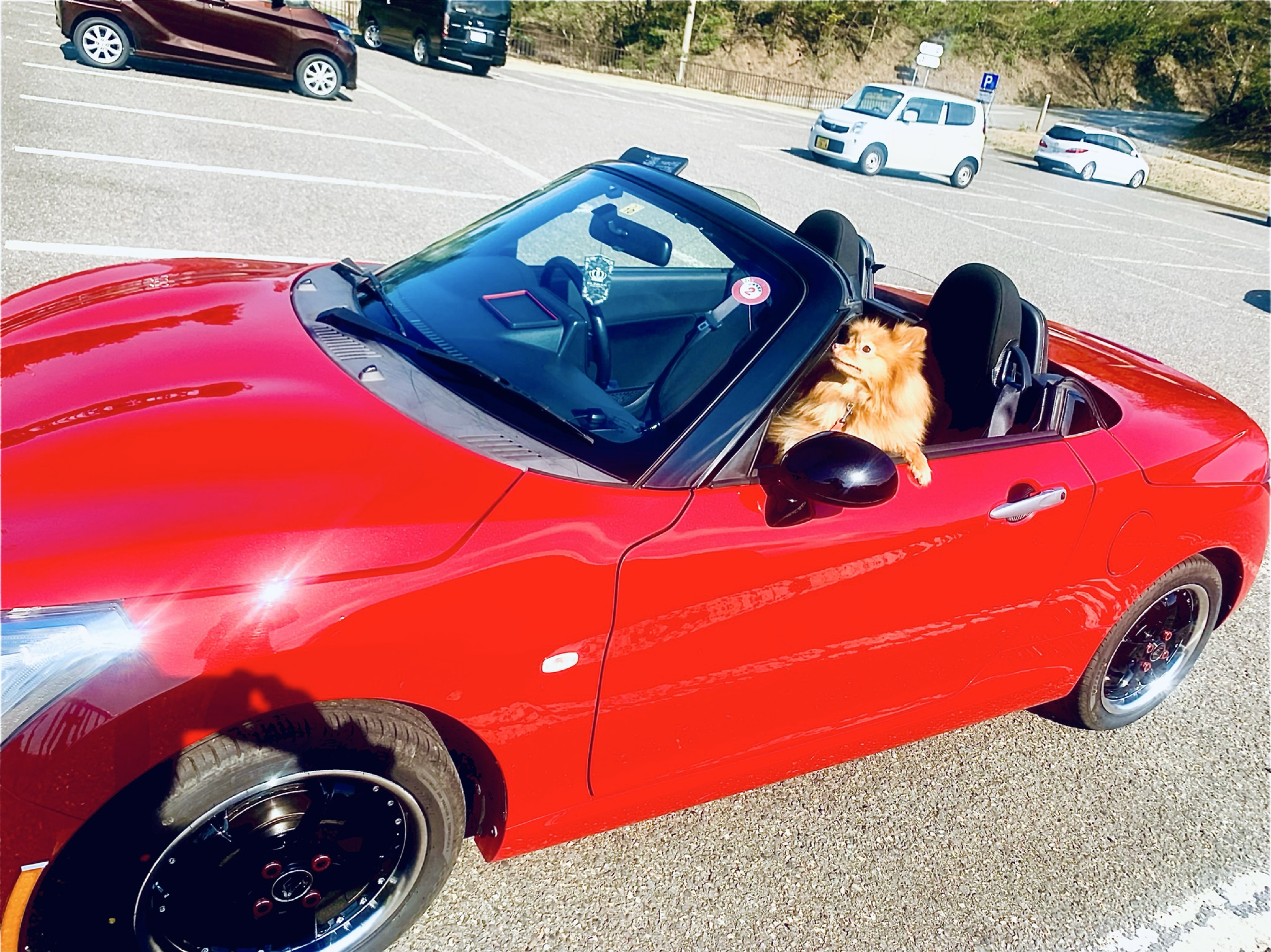 1/19   1缶付き合えよ