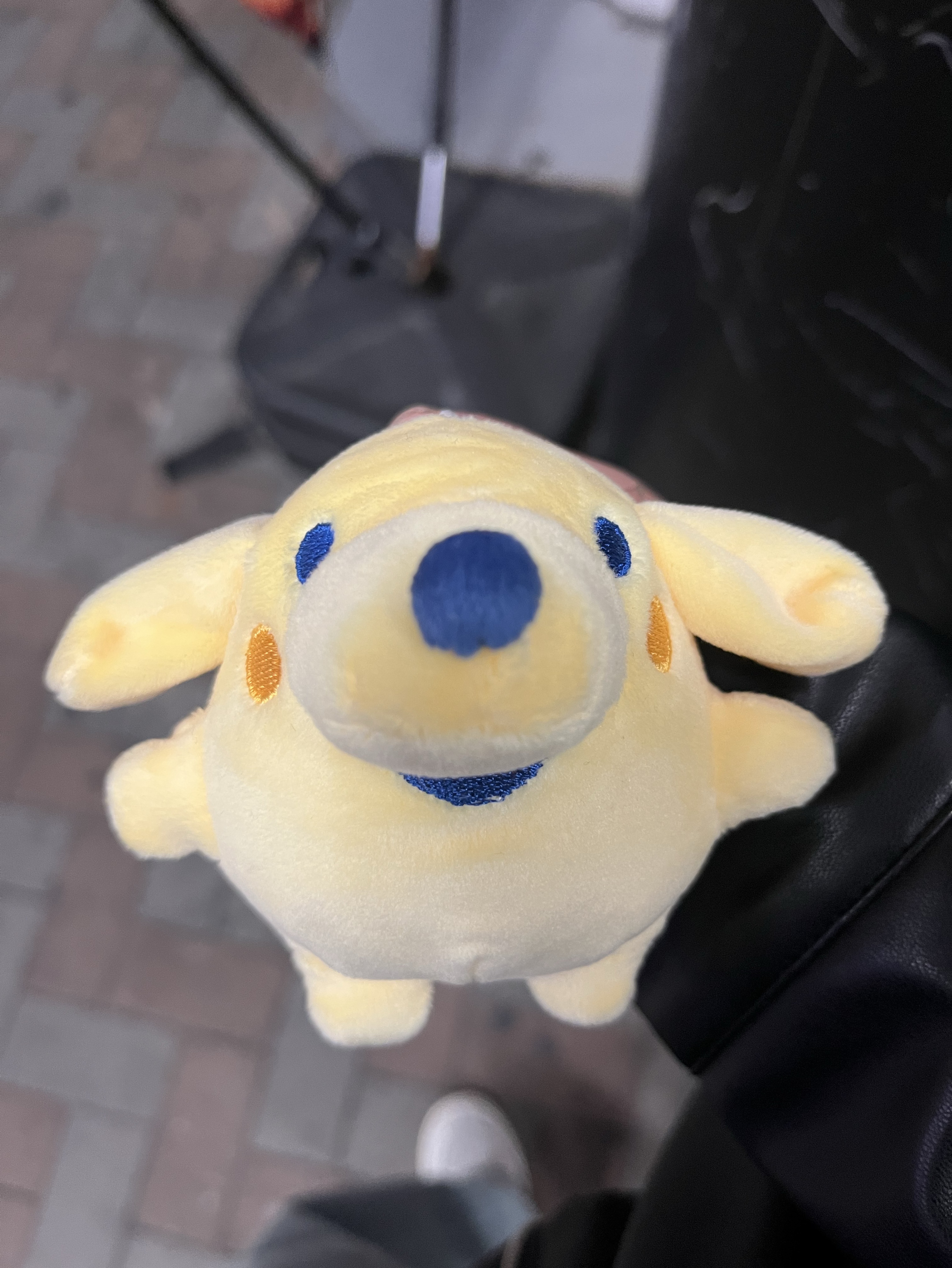 いぬの心臓どっくどっく