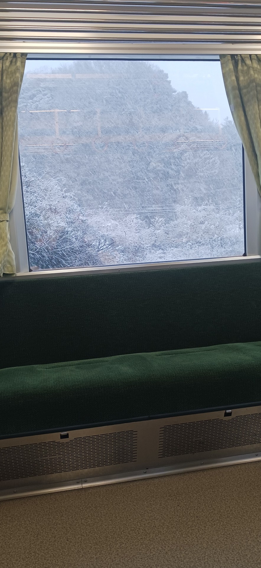 ただま〜！ちょっと勉強？ちょっと作業？