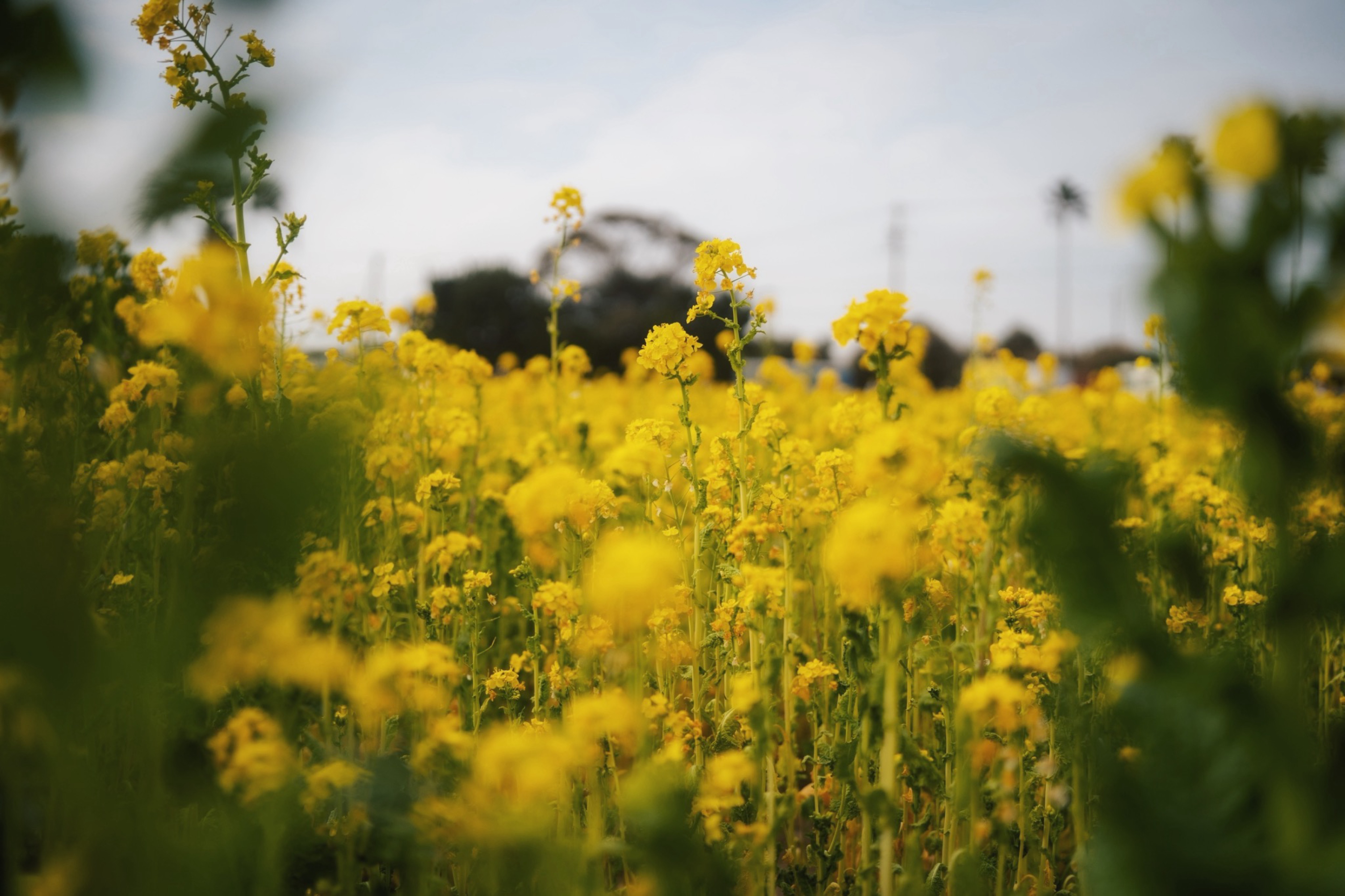 誰かと話したい気分