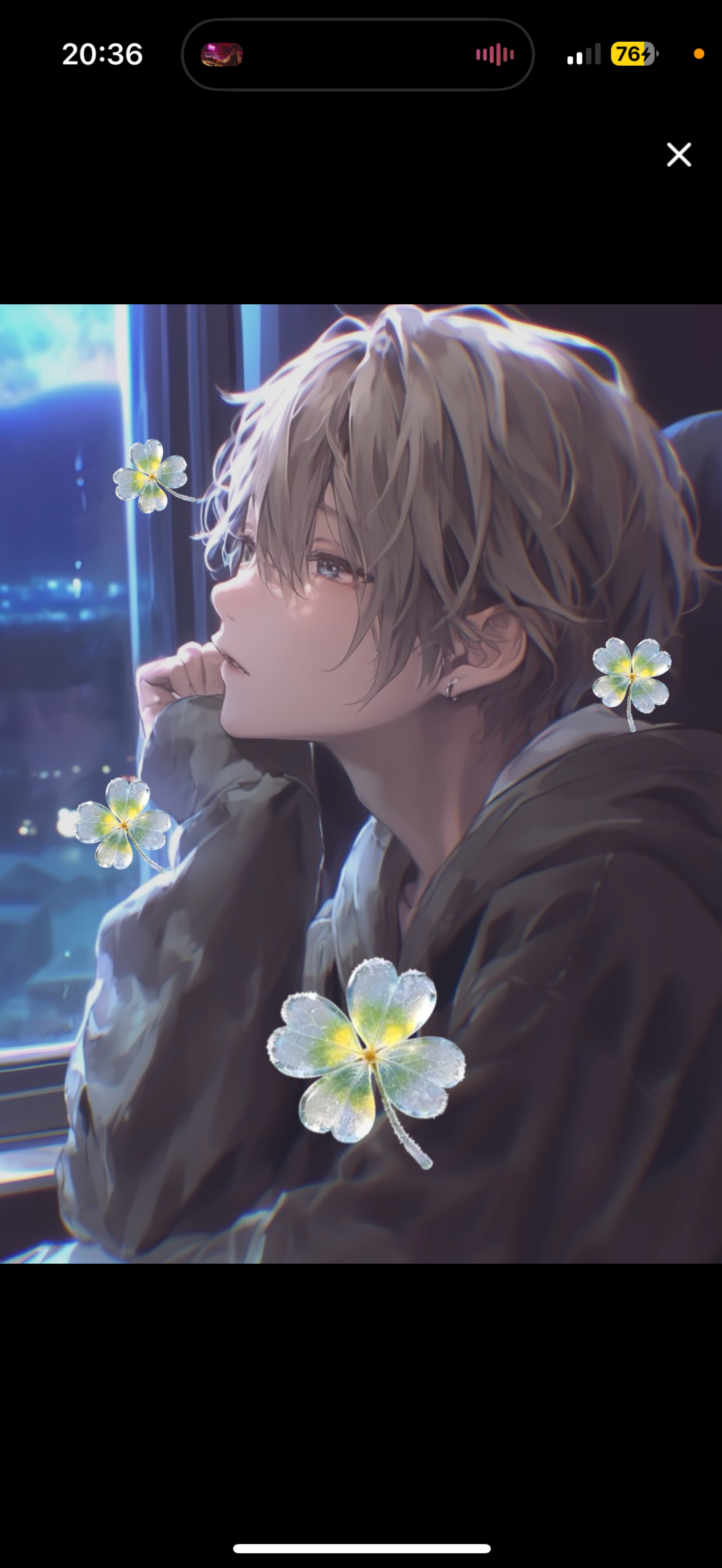 初見さんに優しい枠