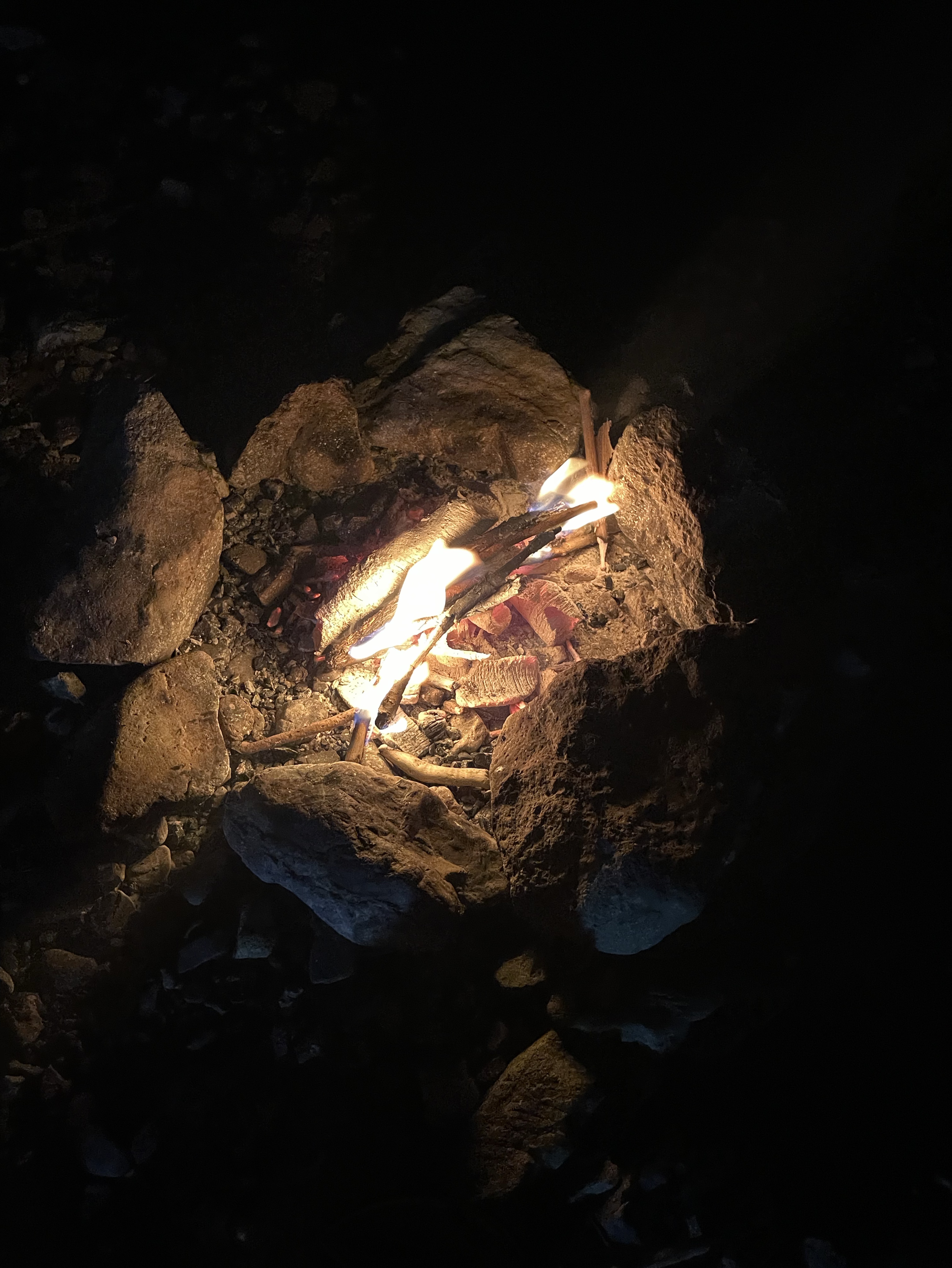 寝落ち配信 誰でも〇