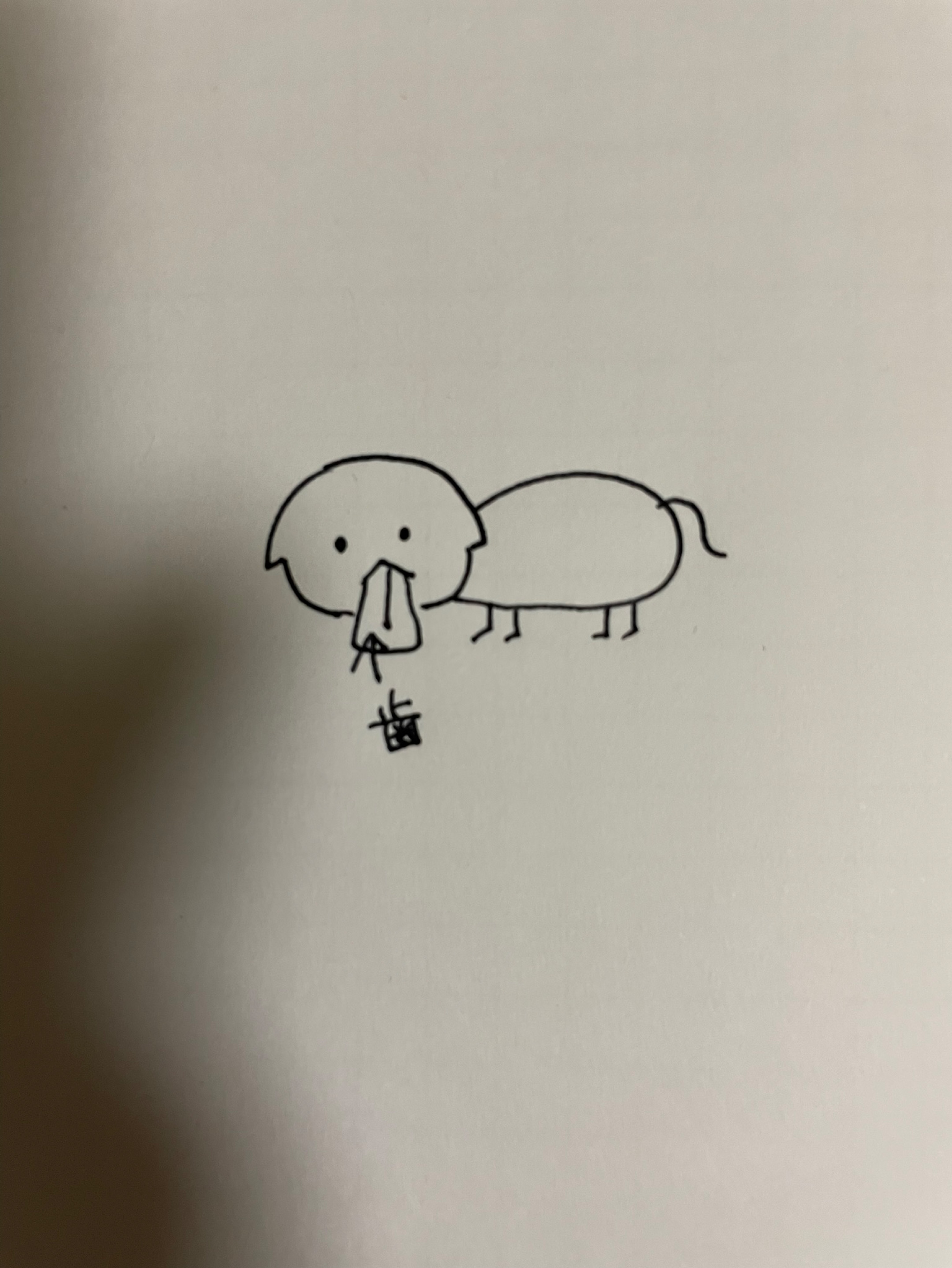 中低音/介護福祉士 まったりと元気を