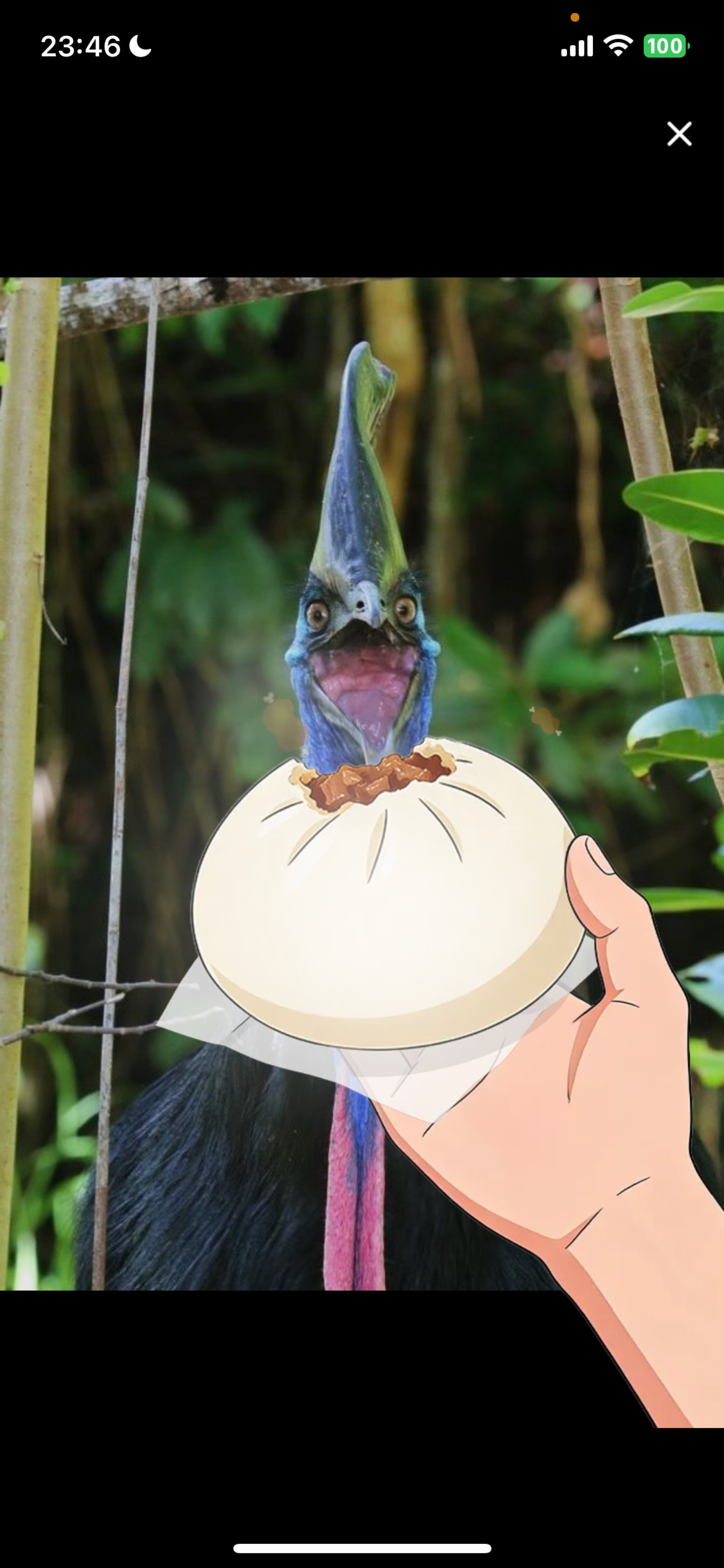 目、あったね👀❕