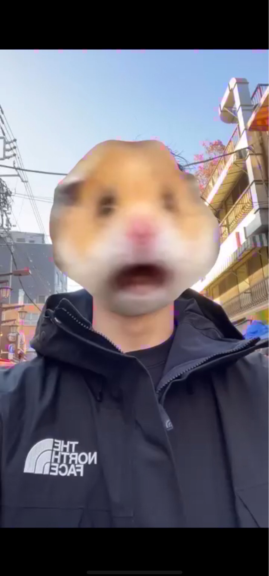 アラサー、6日後から労働