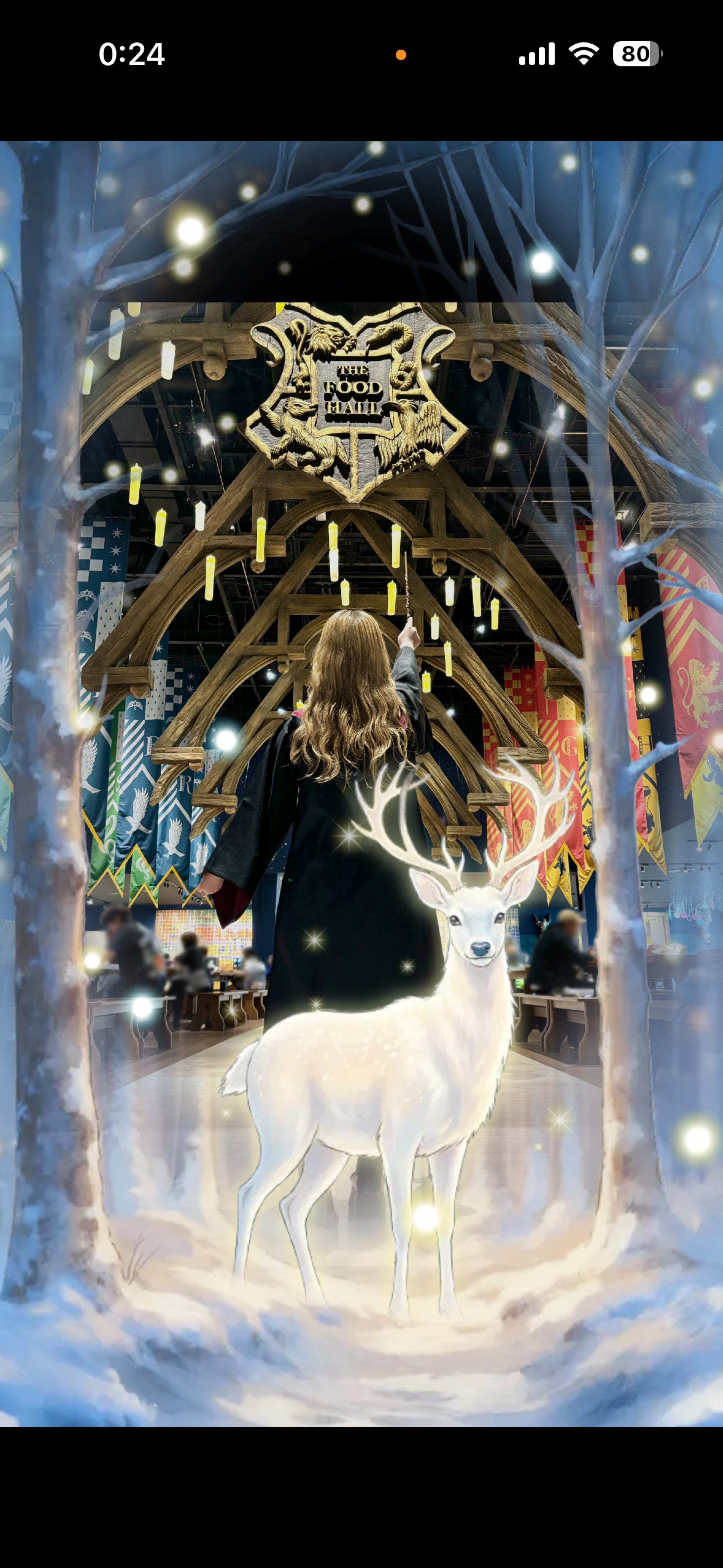 夜はここ！みんないらっしゃい！