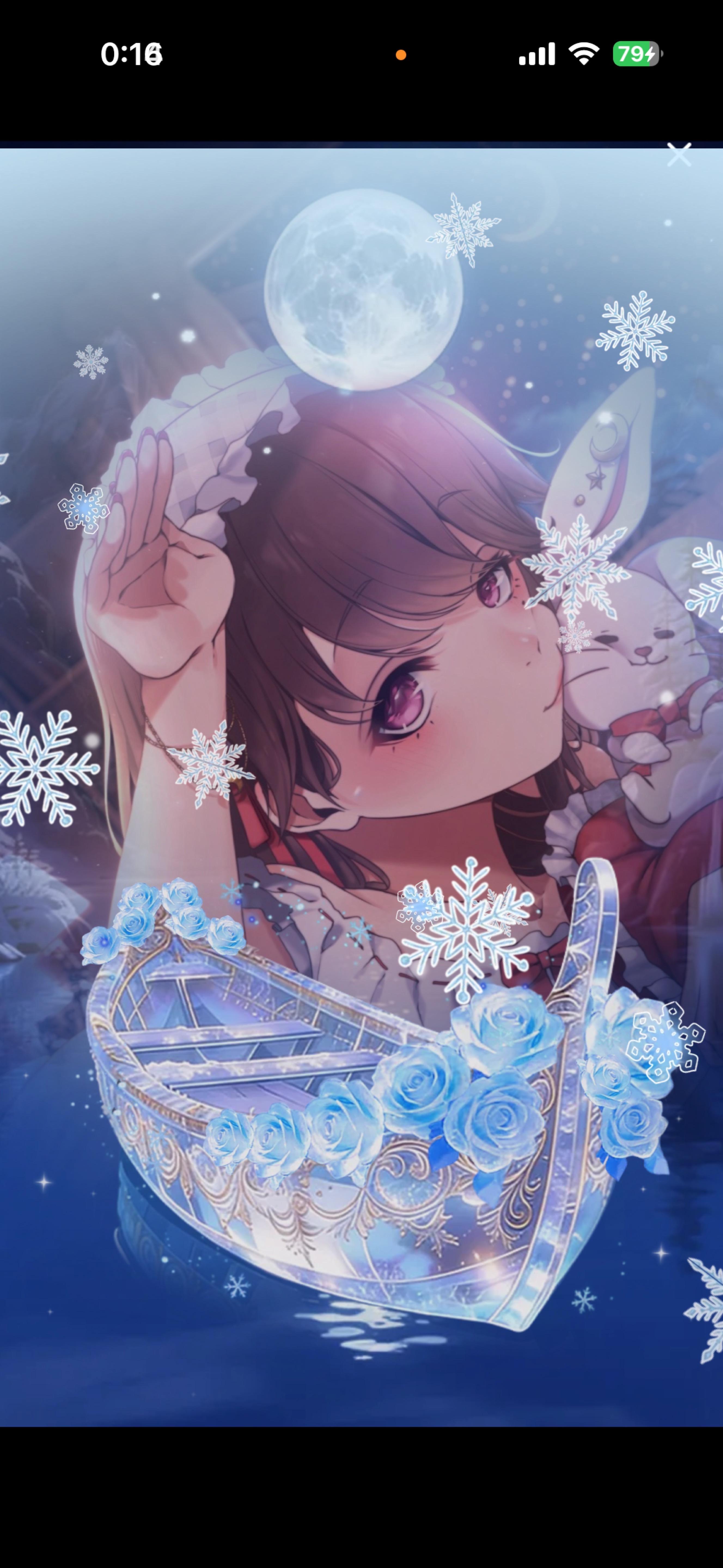 夜はここ！みんないらっしゃい！