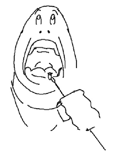 とるてぃーーーー やぁ👋