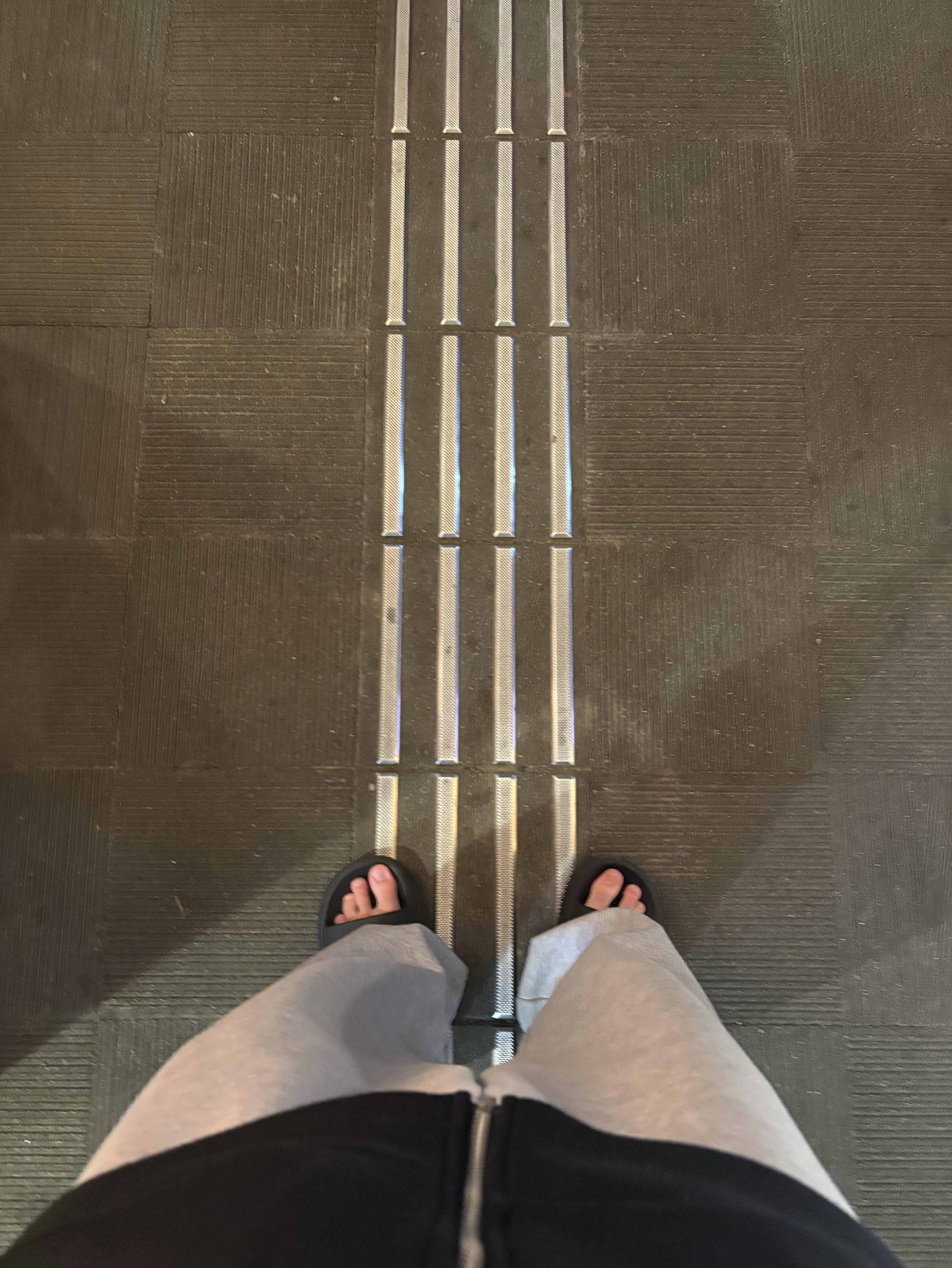 勉強せなたろう